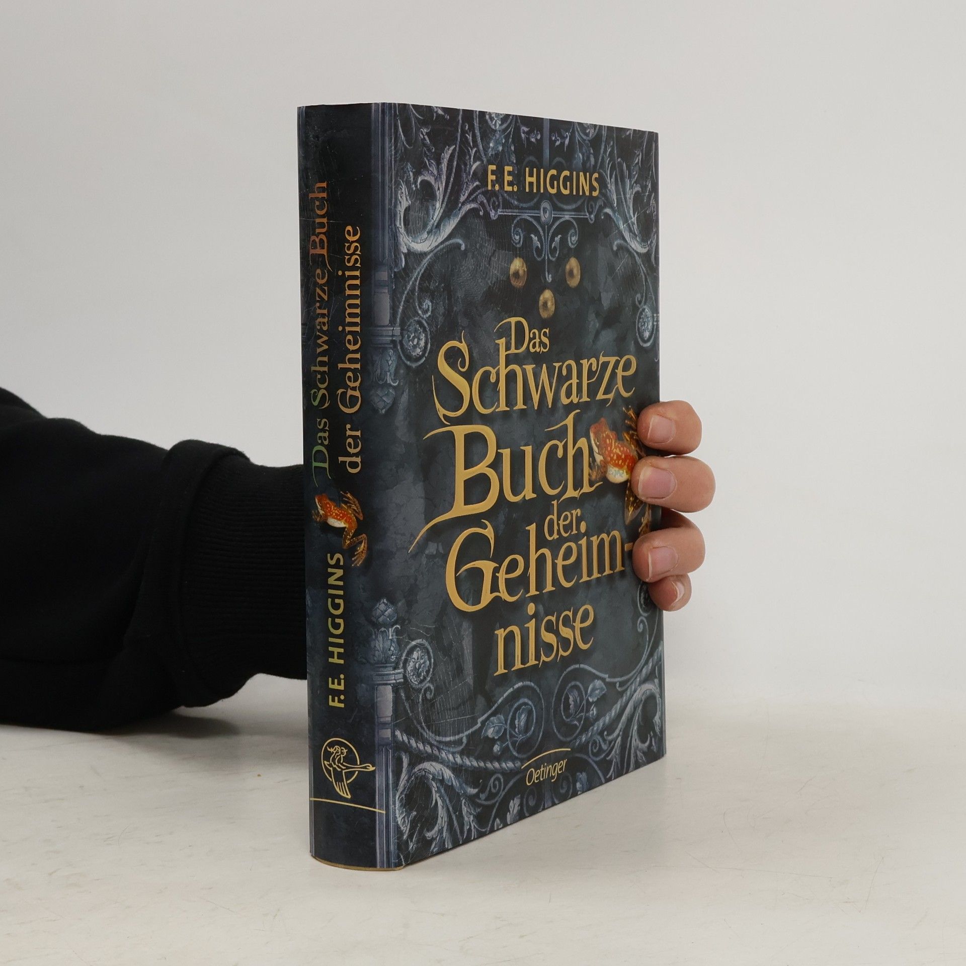 F. E. Higgins Das schwarze Buch der Geheimnisse