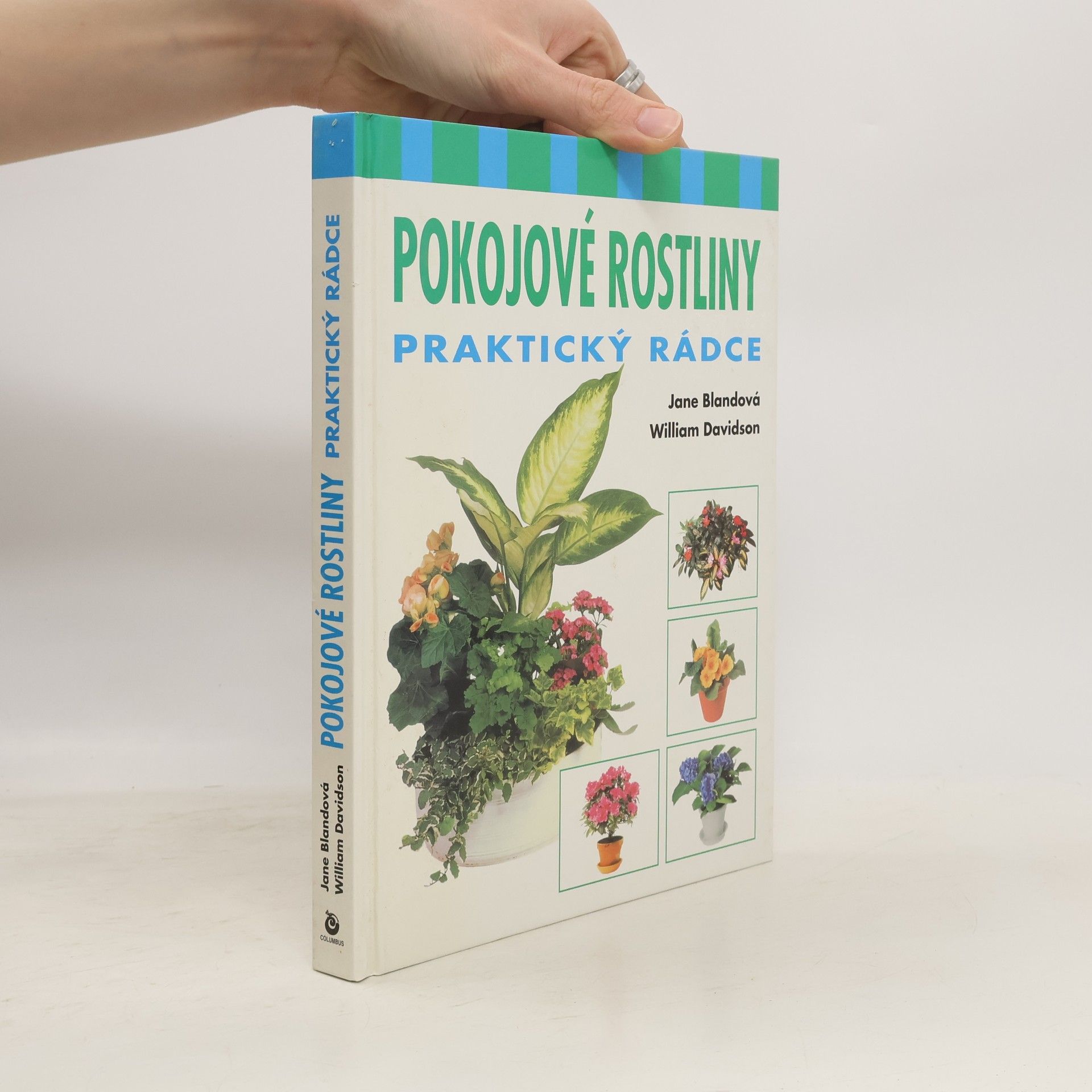 Jane Bland Pokojové rostliny : praktický rádce