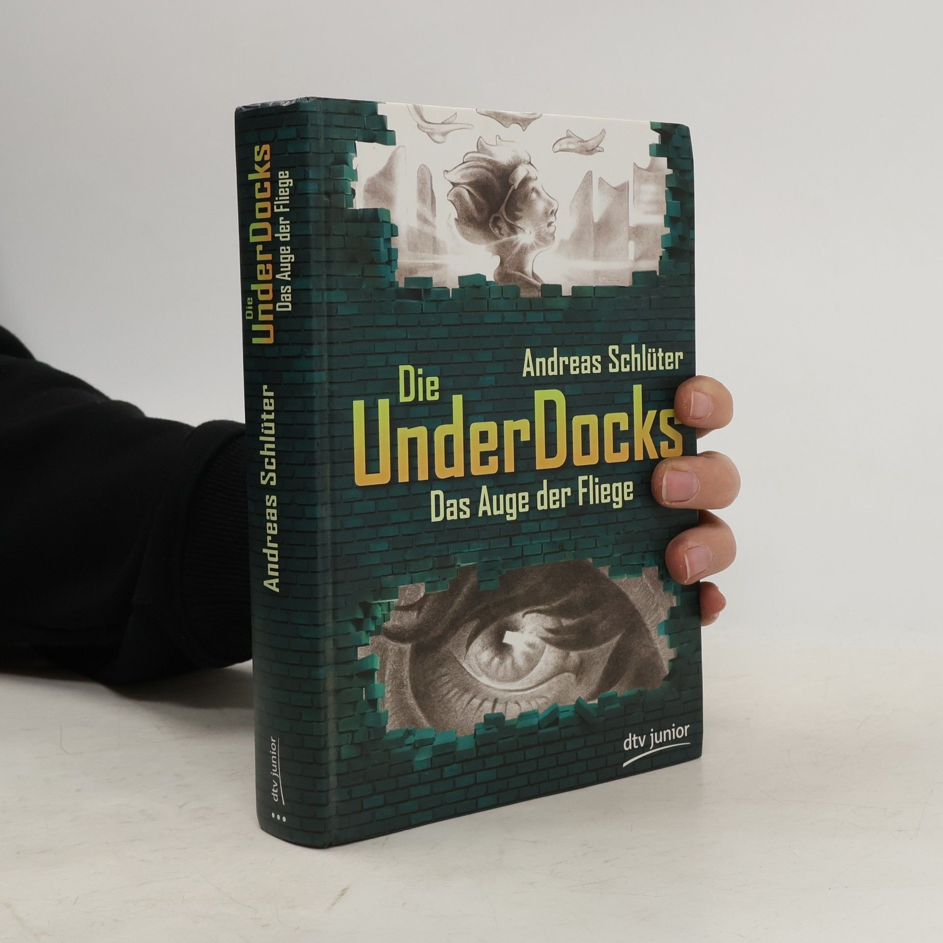 Andreas Schlüter Die UnderDocks - das Auge der Fliege