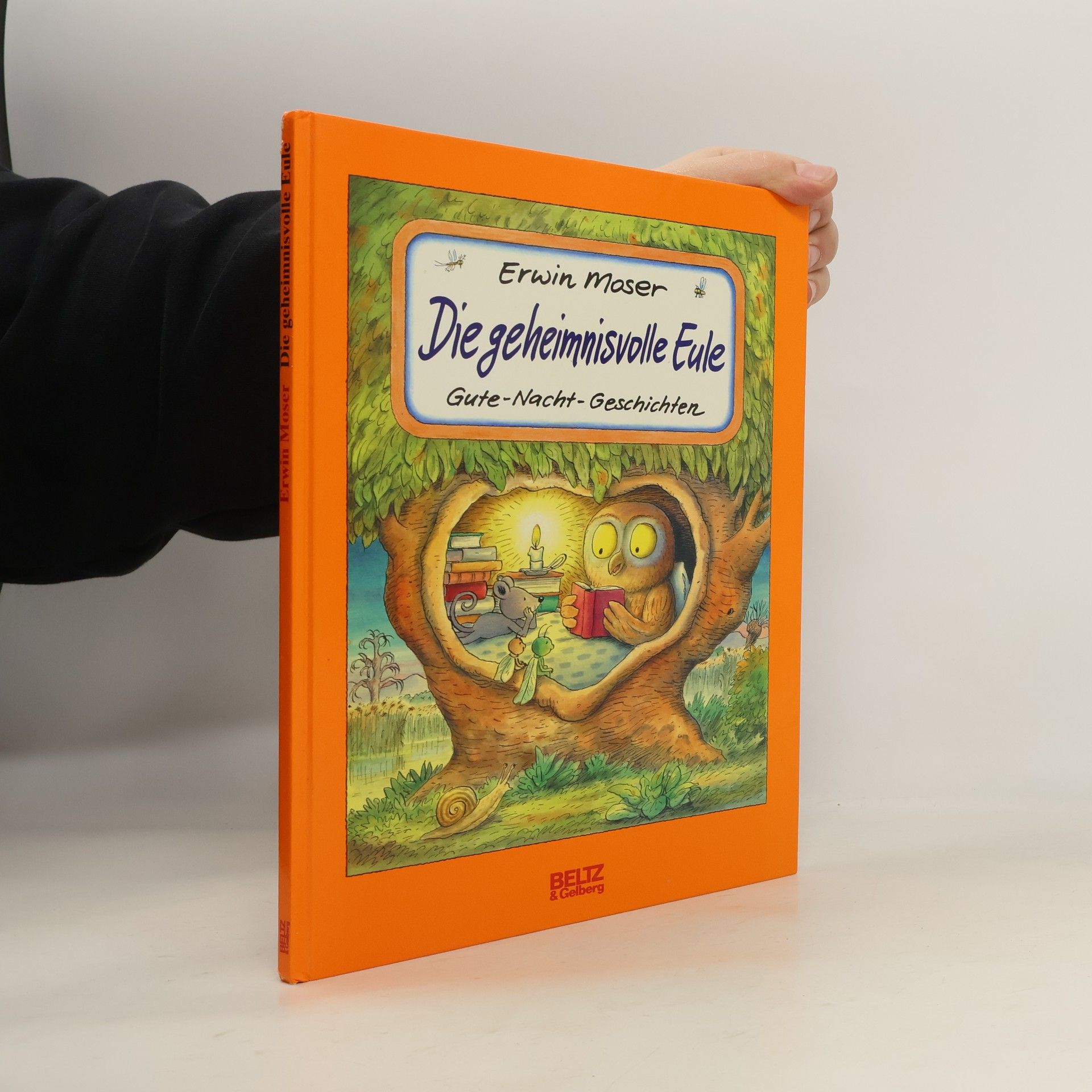 Erwin Moser Die geheimnisvolle Eule