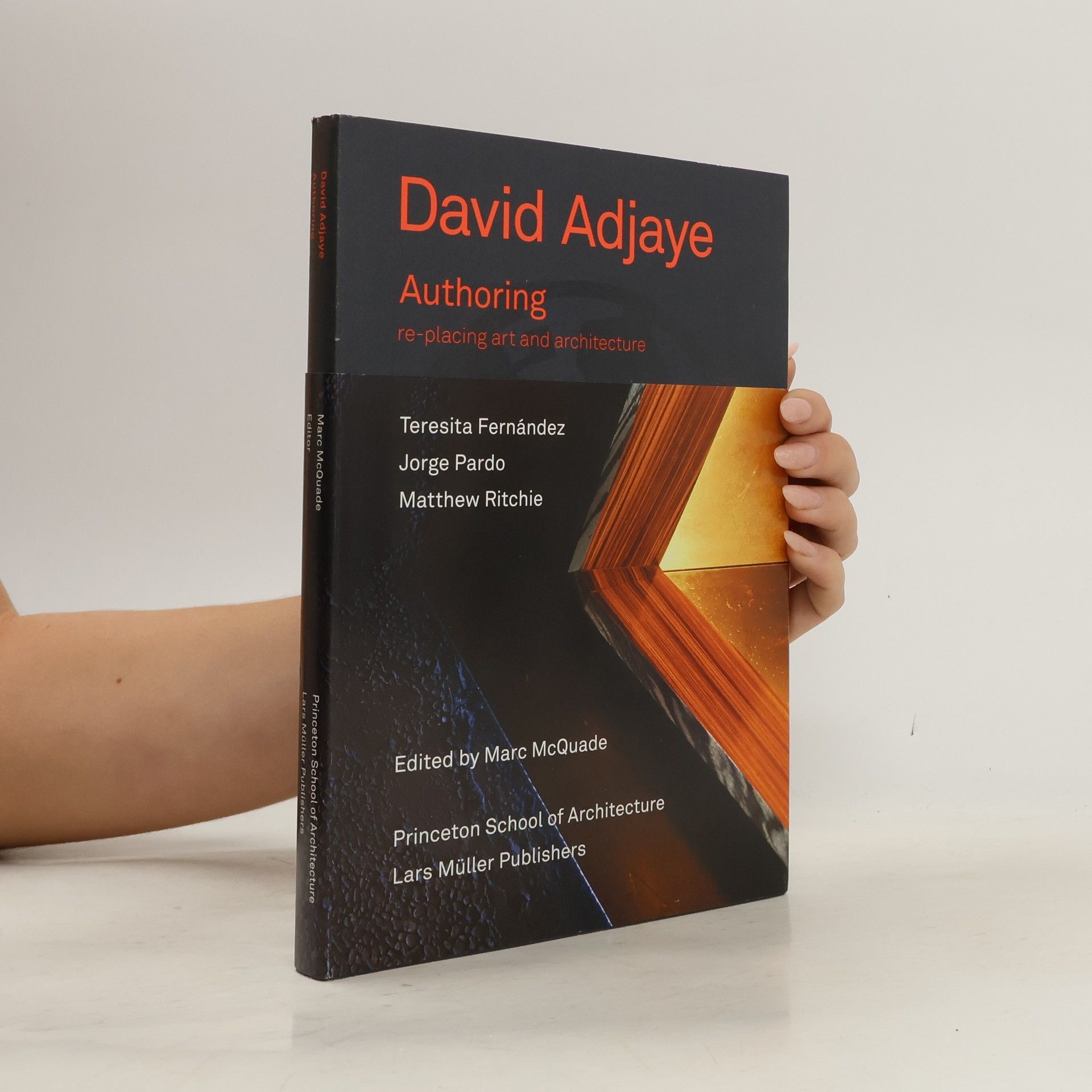 Teresita Fernández David Adjaye. Authoring