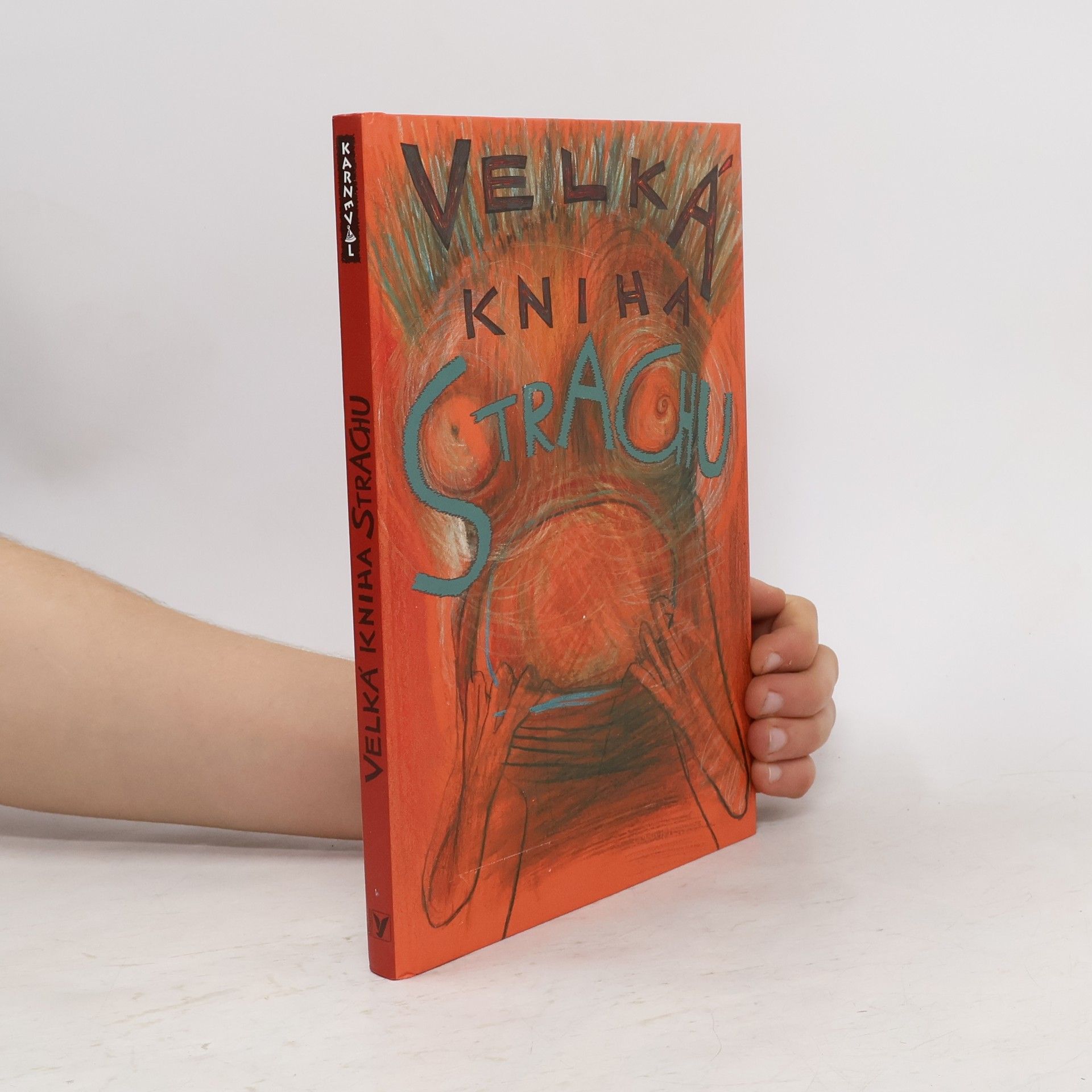 Veronika Bohatá Velká kniha strachu