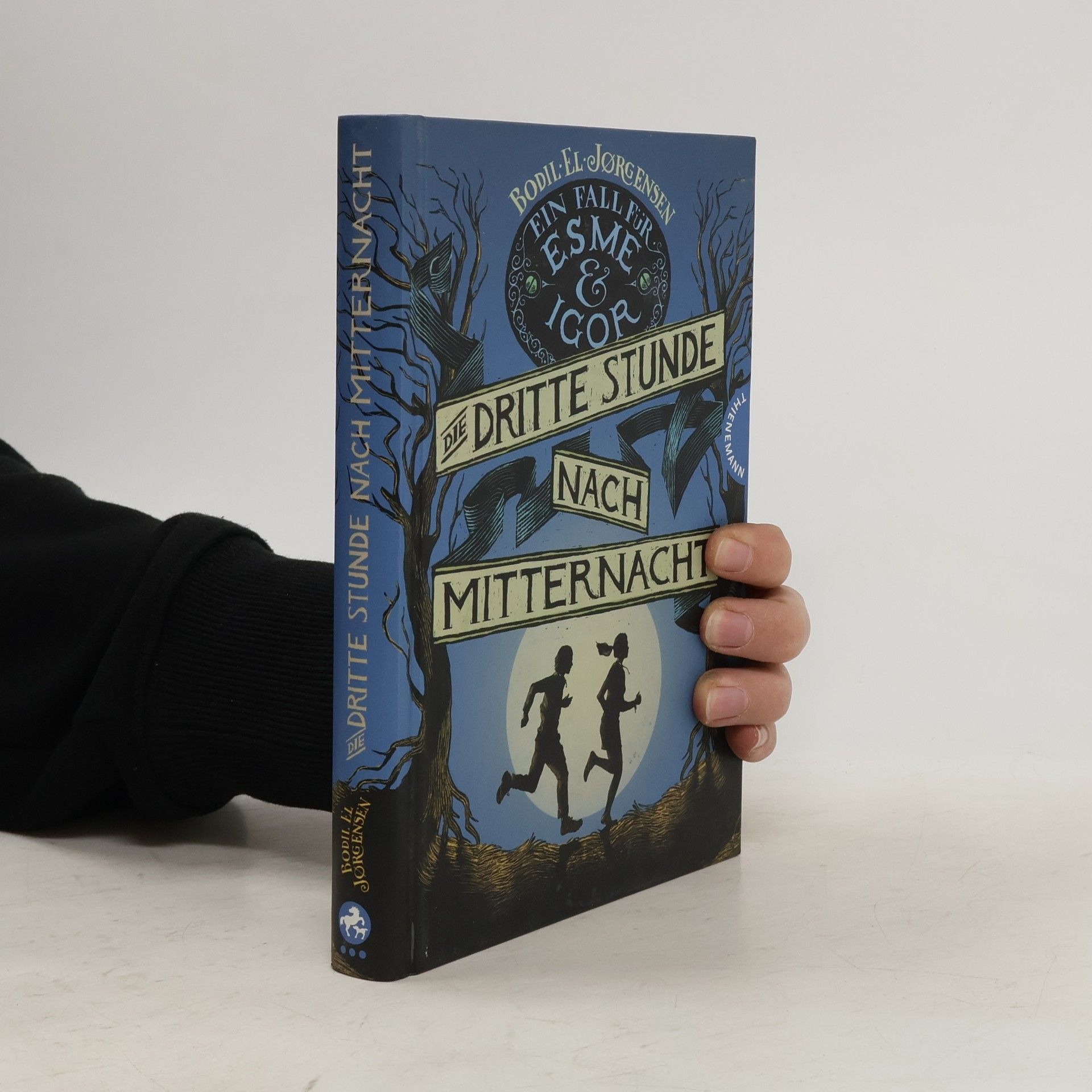 Bodil El Jørgensen Ein Fall für Esme & Igor. Die Dritte Stunde nach Mitternacht