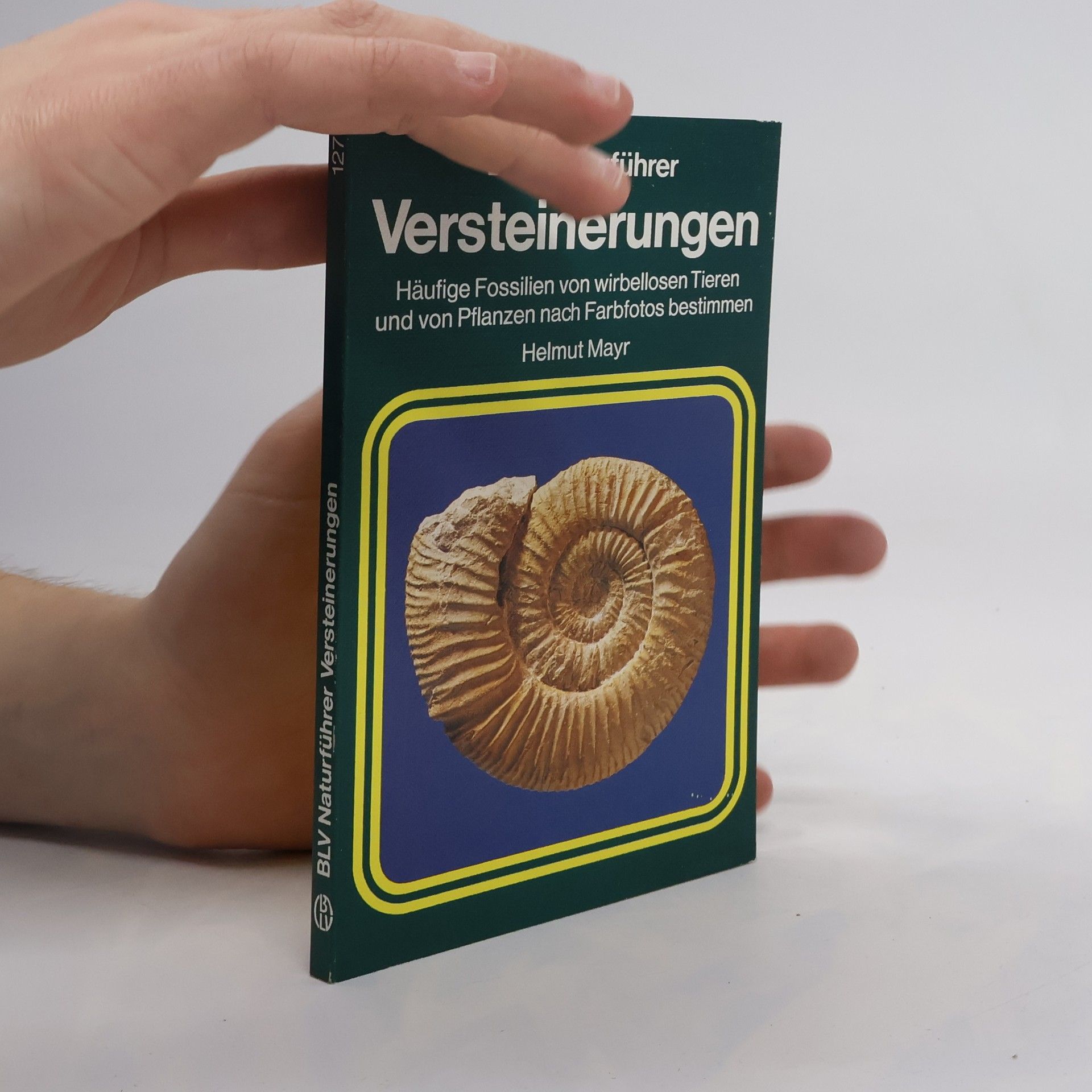 Helmut Mayr Versteinerungen