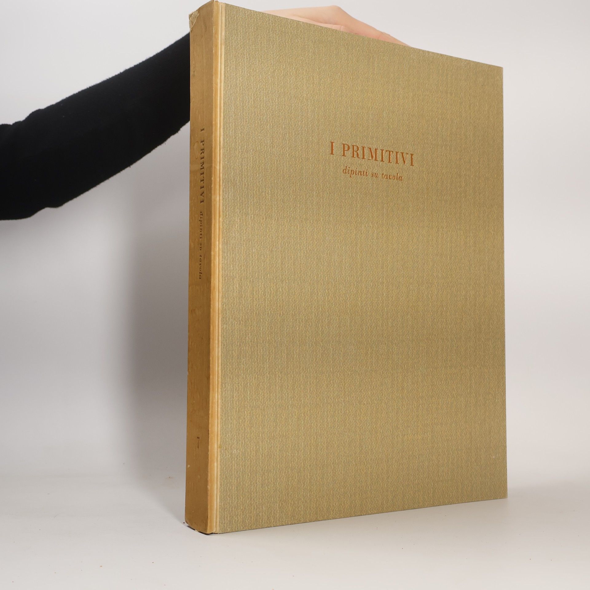 Kolektiv autorů I Primitivi. Dipinti su tavola