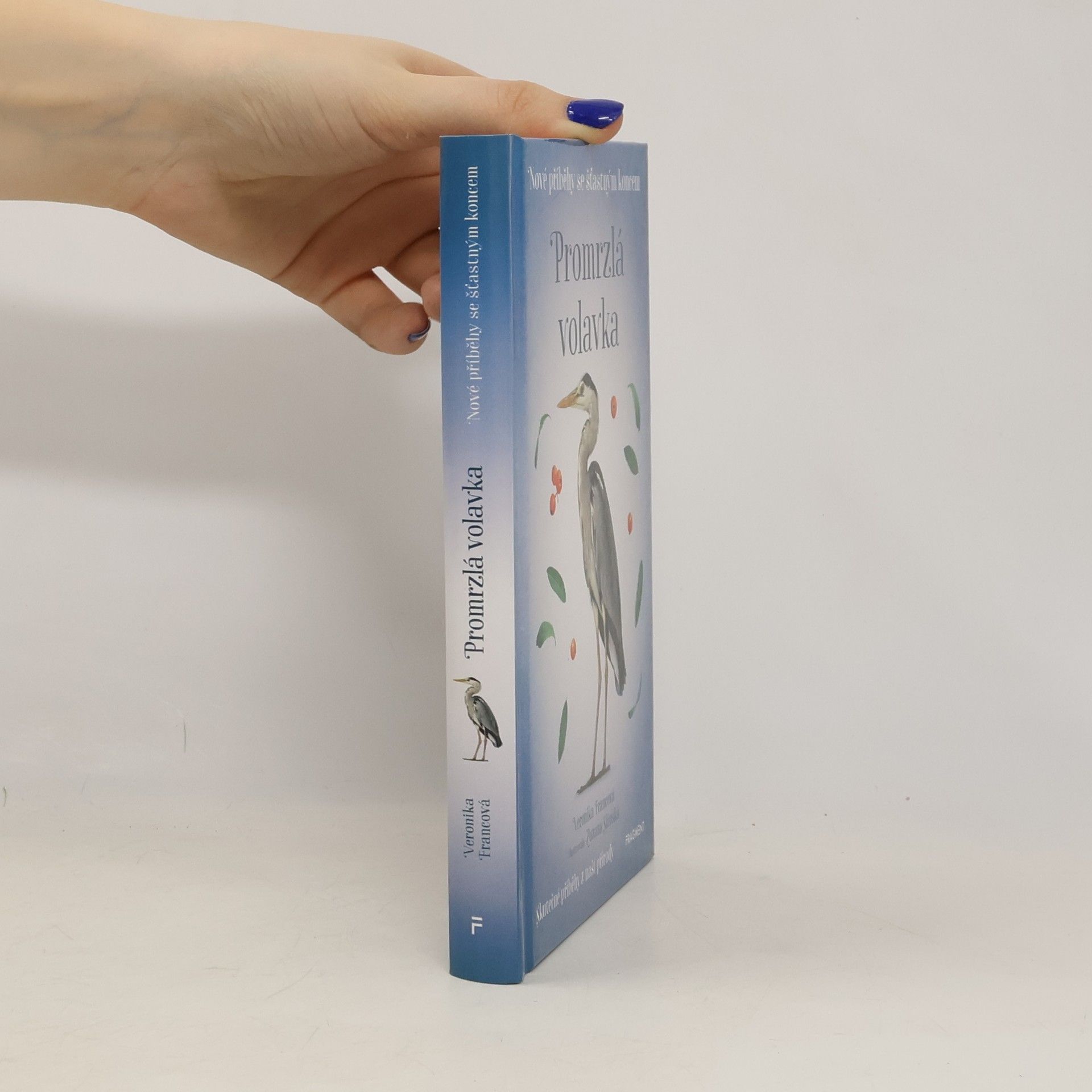 Veronika Francová Promrzlá volavka