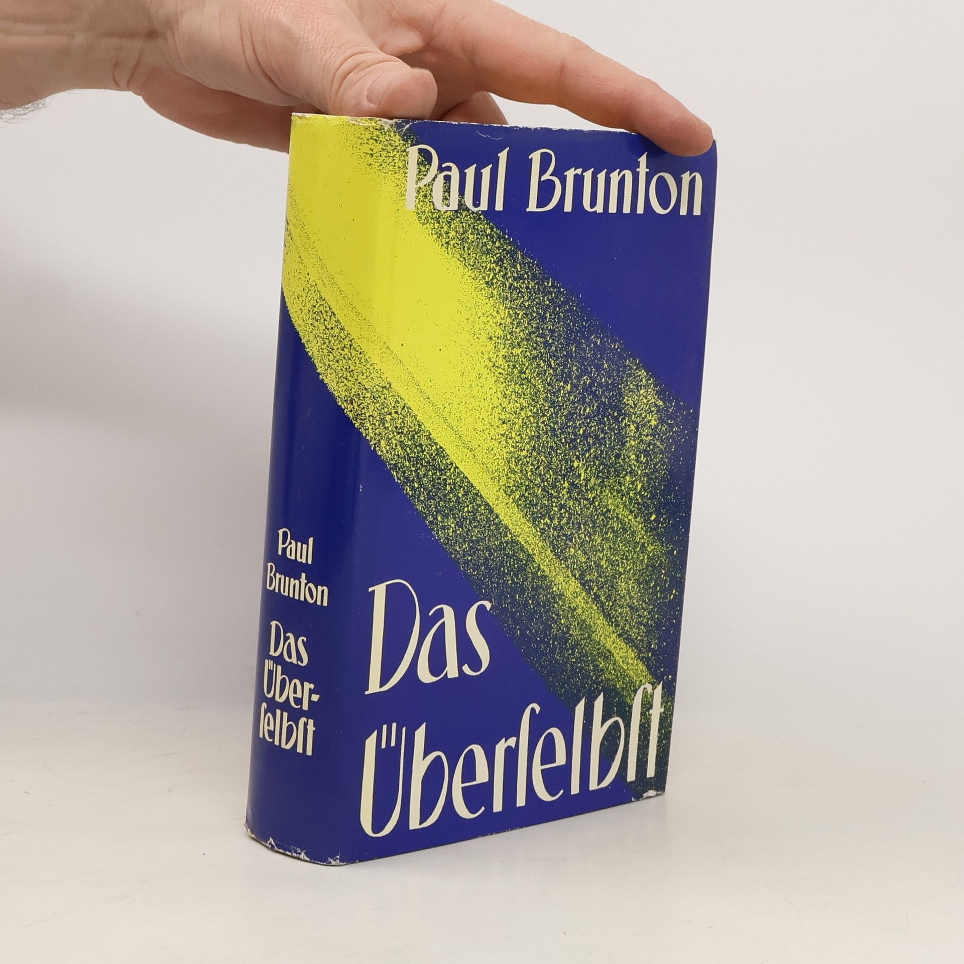 Paul Brunton Das Überselbst