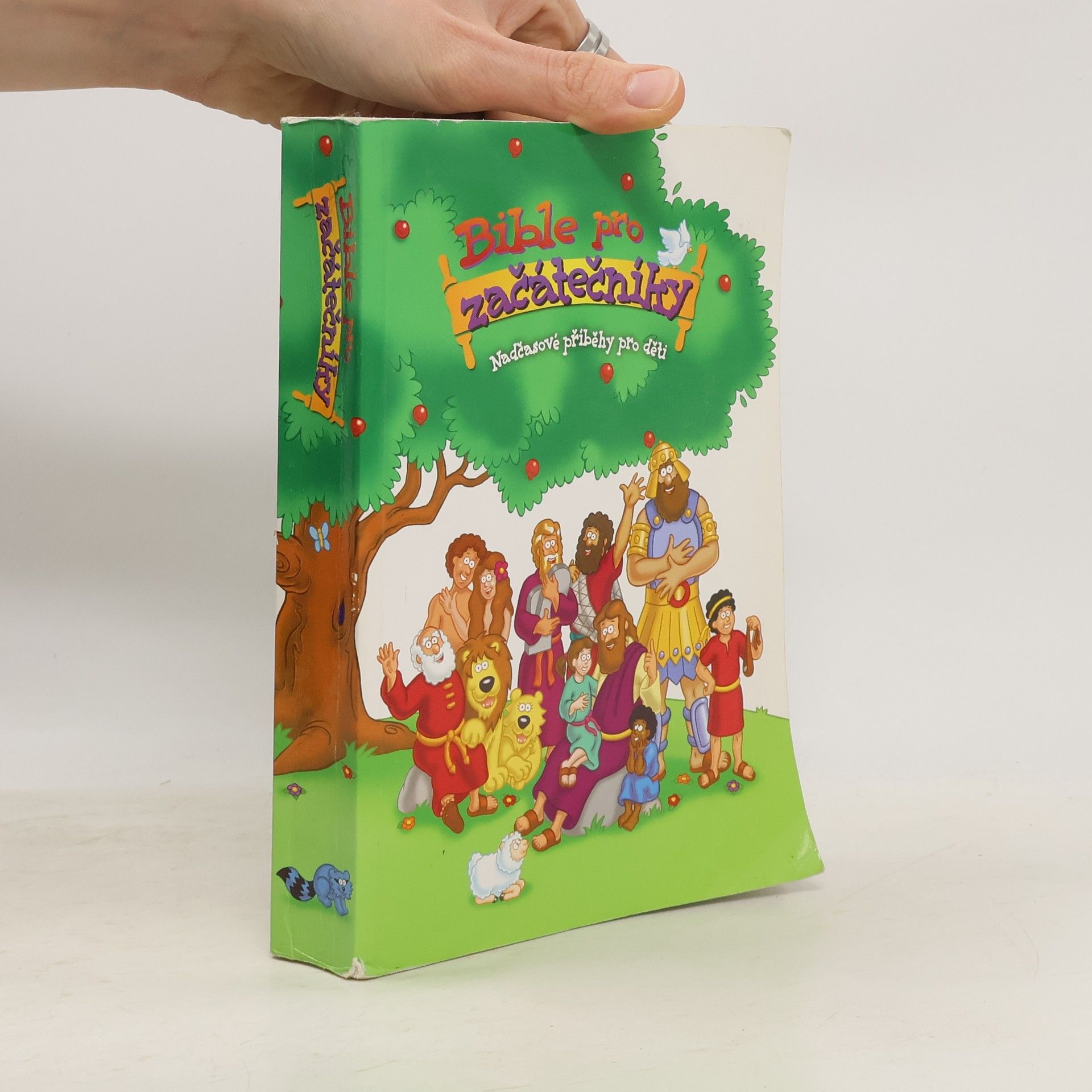 kolektiv Bible pro začátečníky