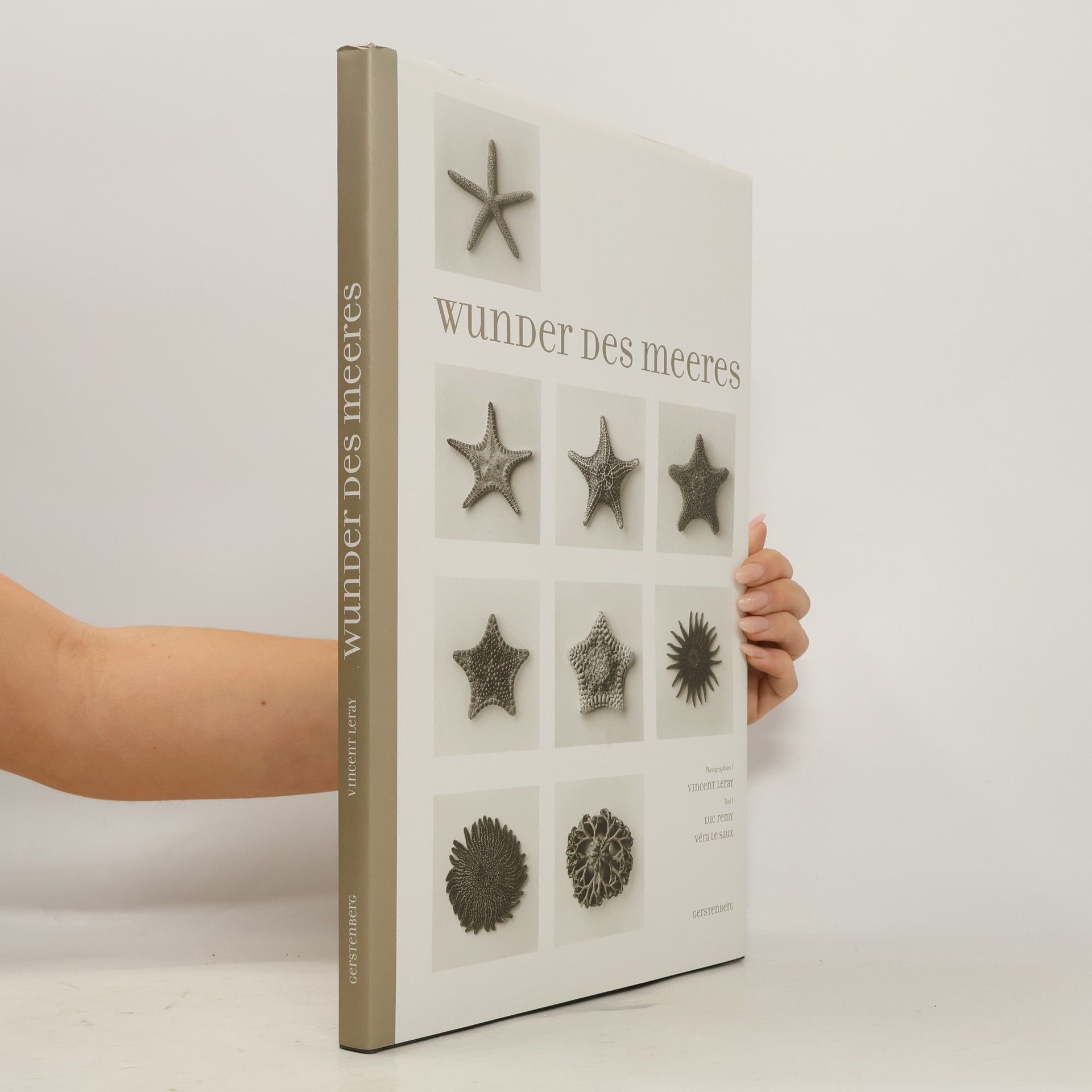 Vincent Leray Wunder des Meeres