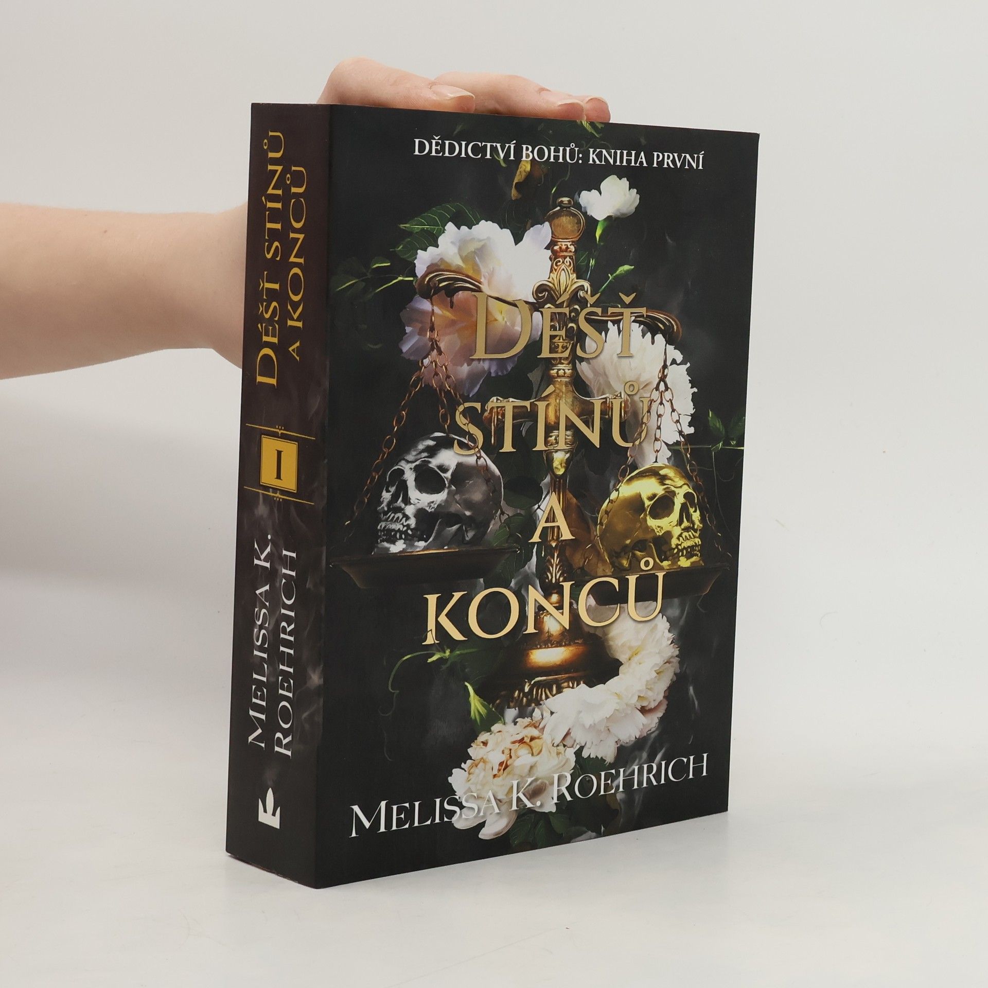 Melissa K. Roehrich Déšť stínů a konců