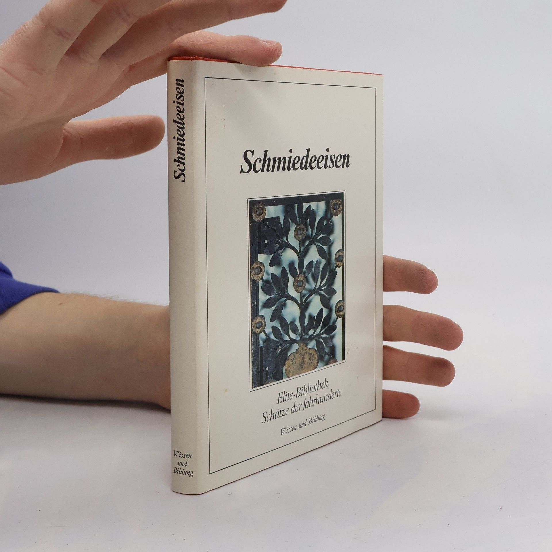 Autorenkollektiv Schmiedeeisen