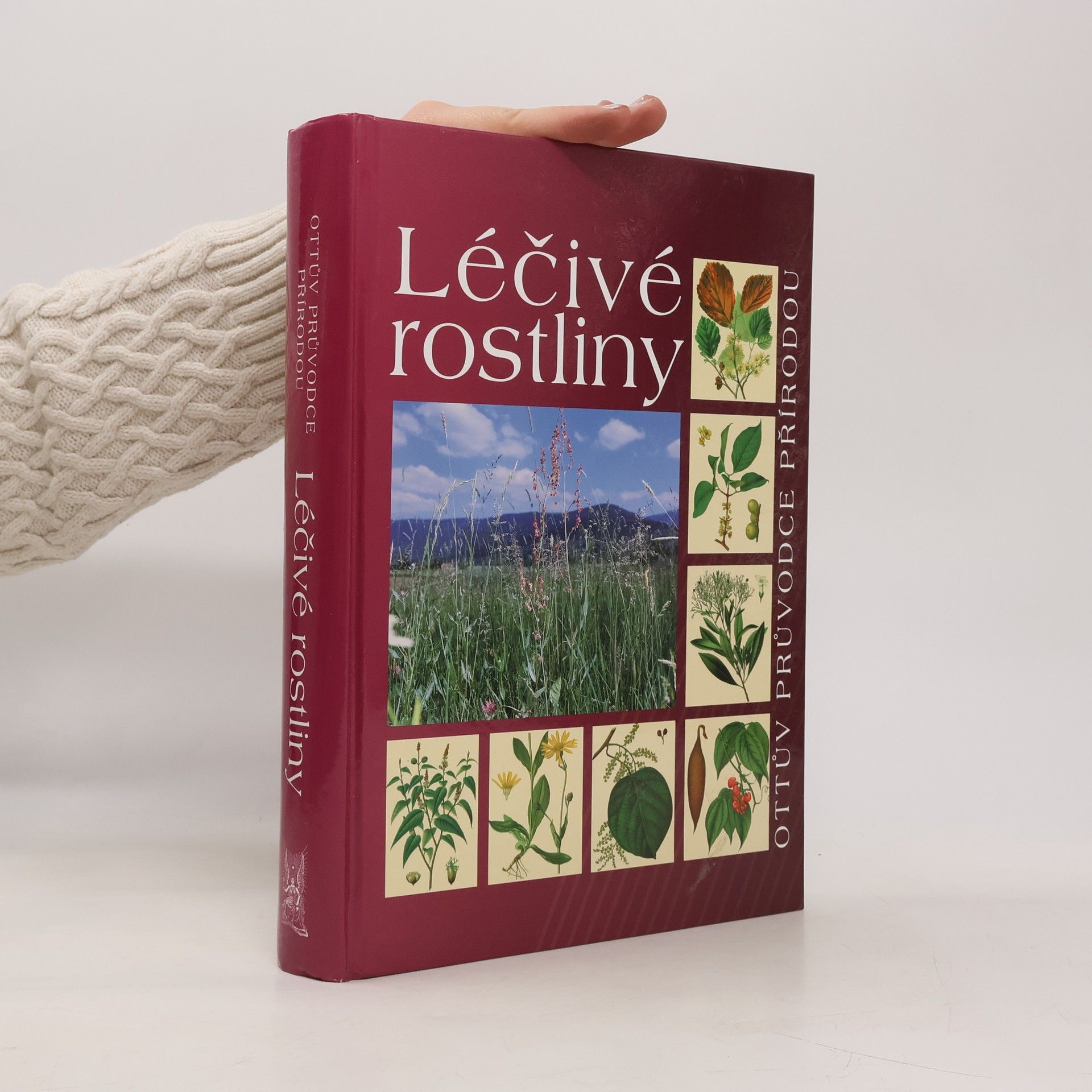 Peter Schönfelder Léčivé rostliny