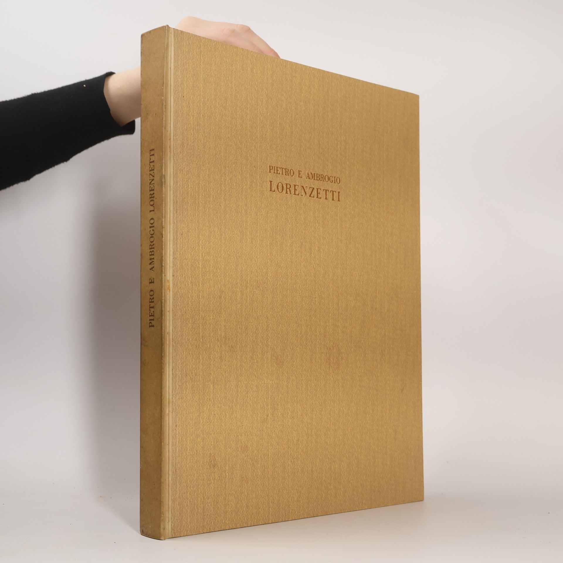 Kolektiv autorů Pietro e Ambrogio Lorenzetti