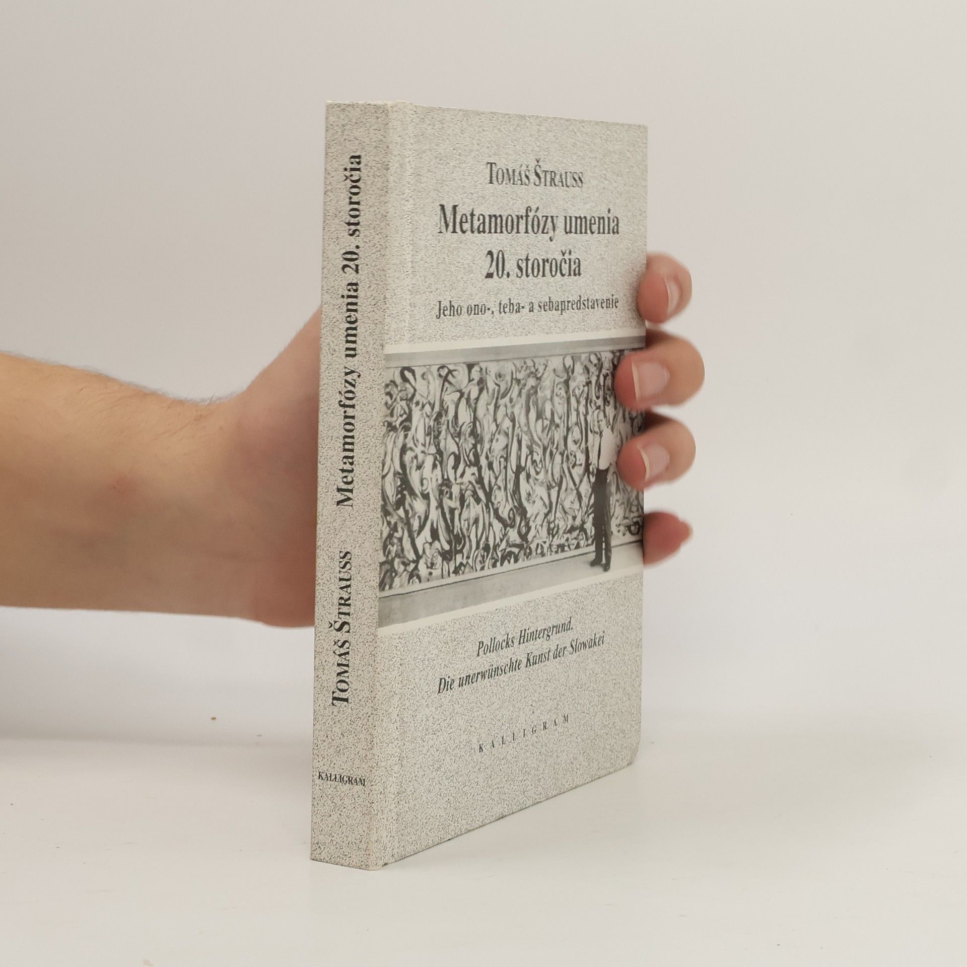 Tomáš Štrauss Metamorfózy umenia 20. storočia