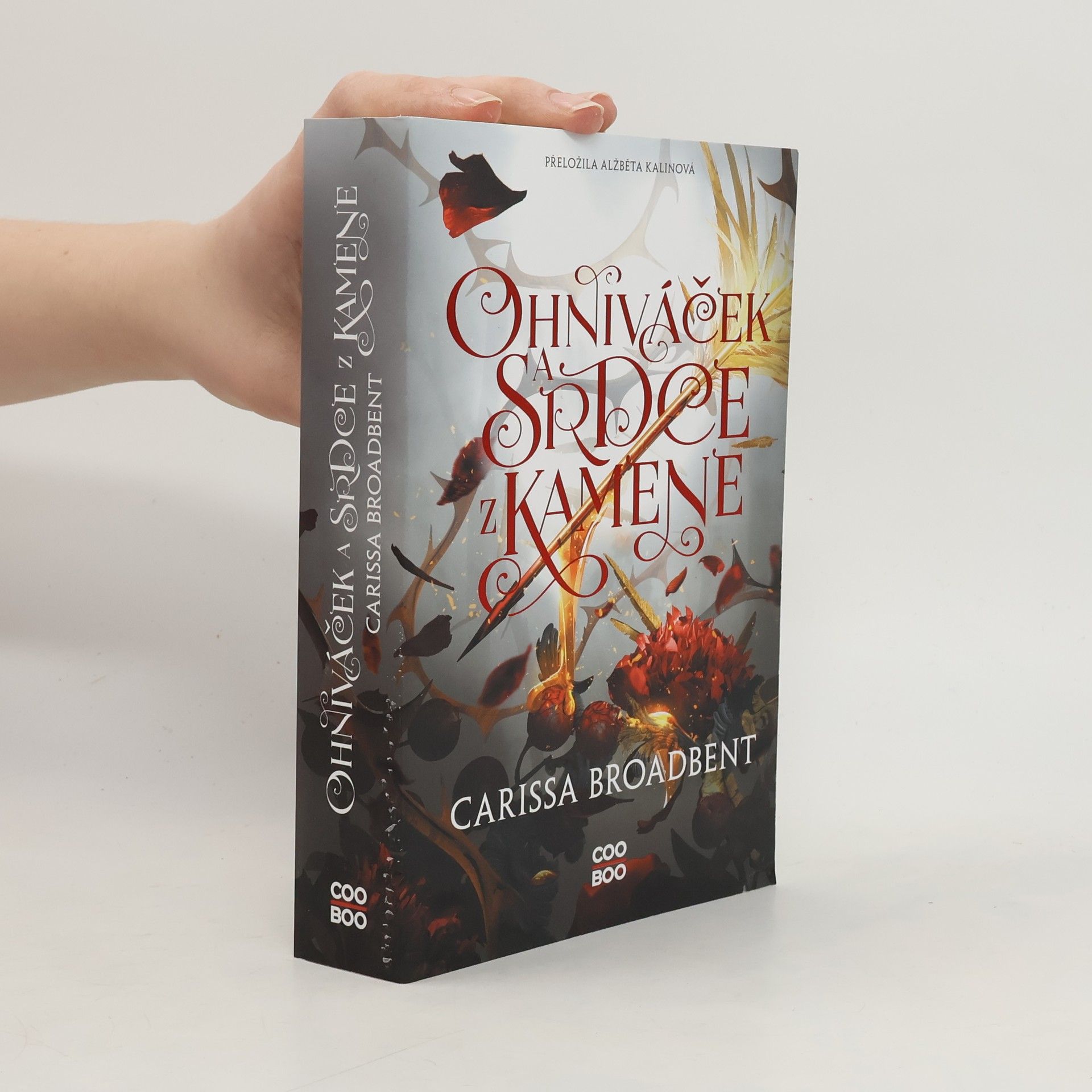 Carissa Broadbent Ohniváček a srdce z kamene