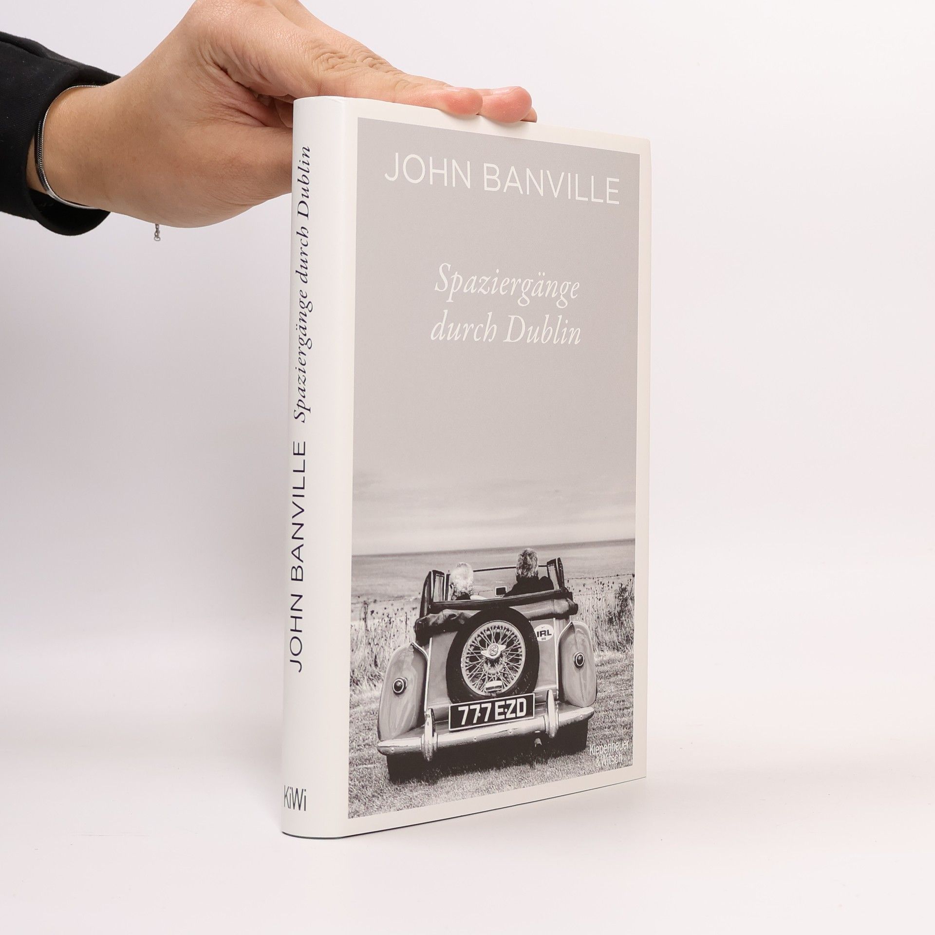 John Banville Spaziergänge durch Dublin