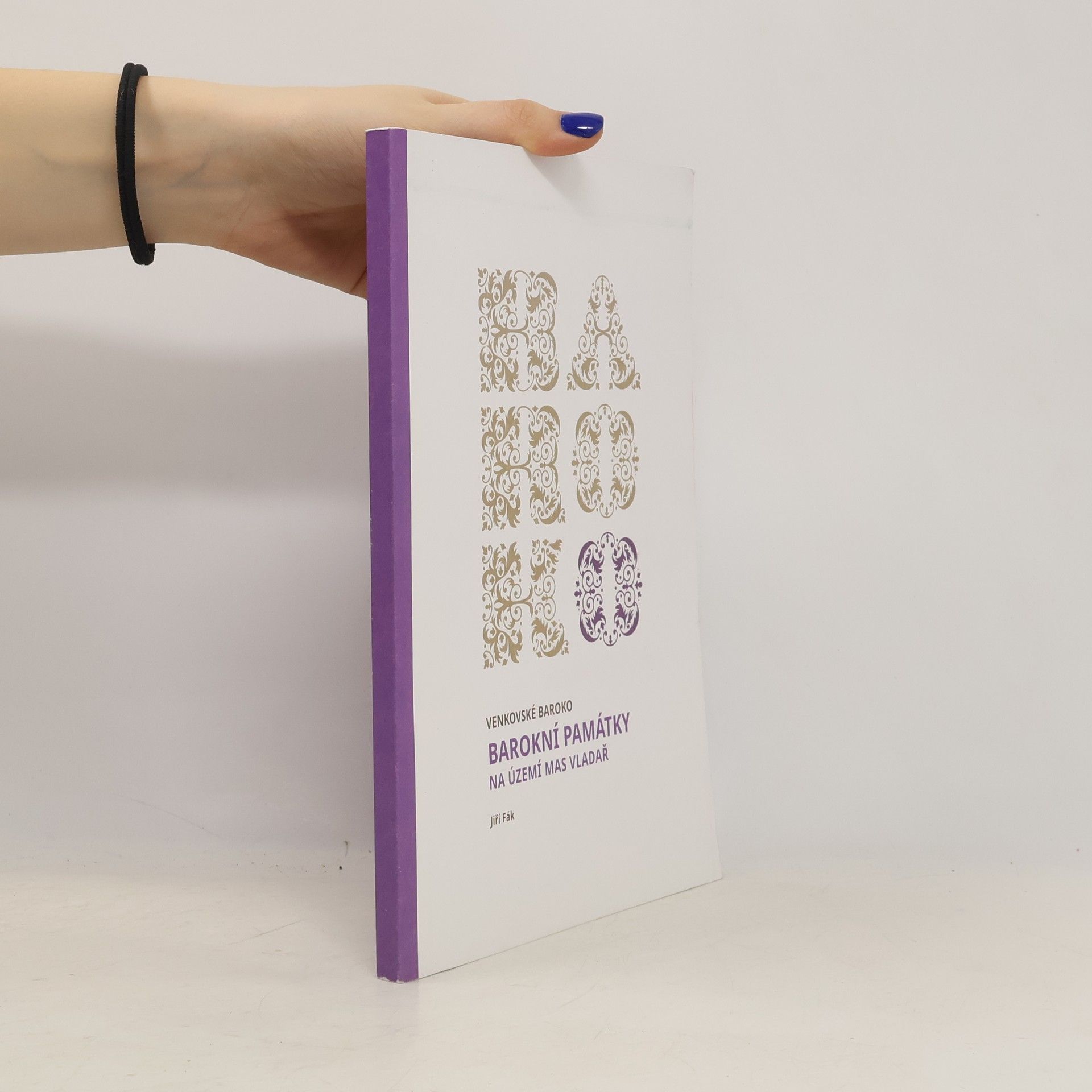 Barokní památky na území MAS Vladař