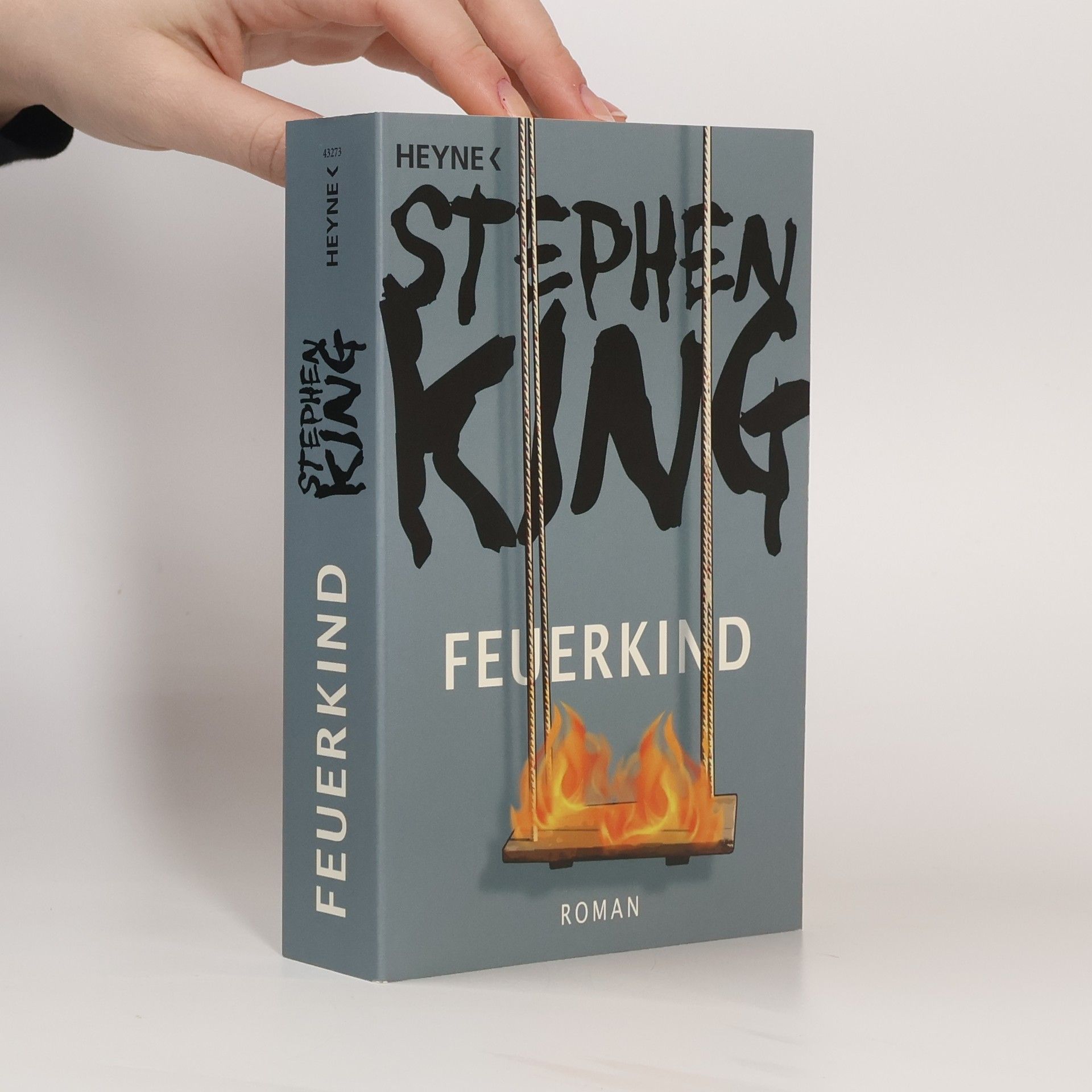 Stephen King Feuerkind