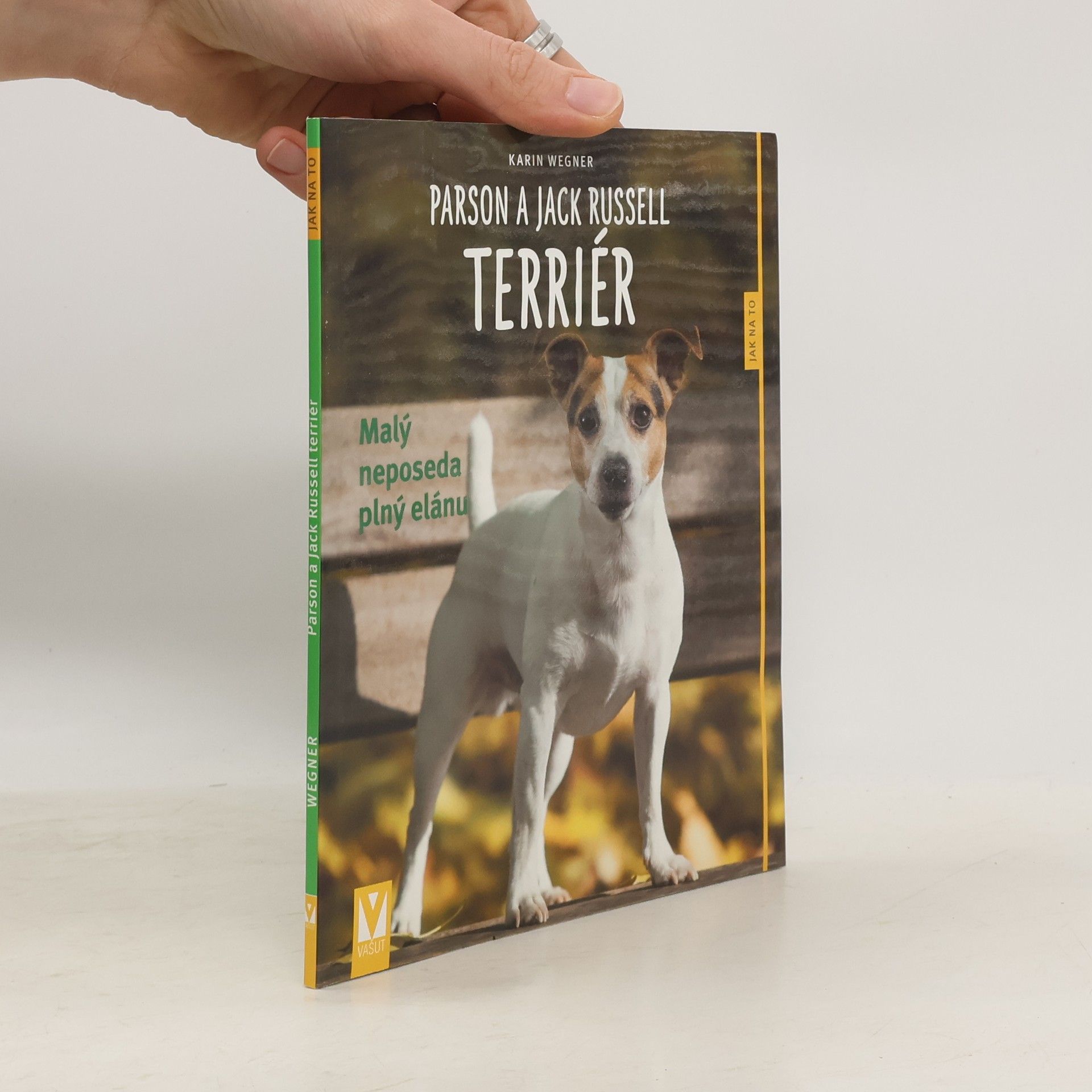 Parson a Jack Russell teriér - Malý neposeda plný elánu