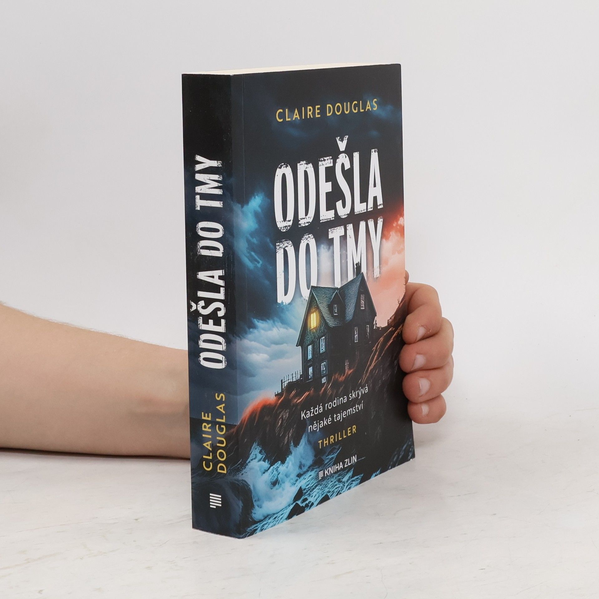 Claire Douglas Odešla do tmy