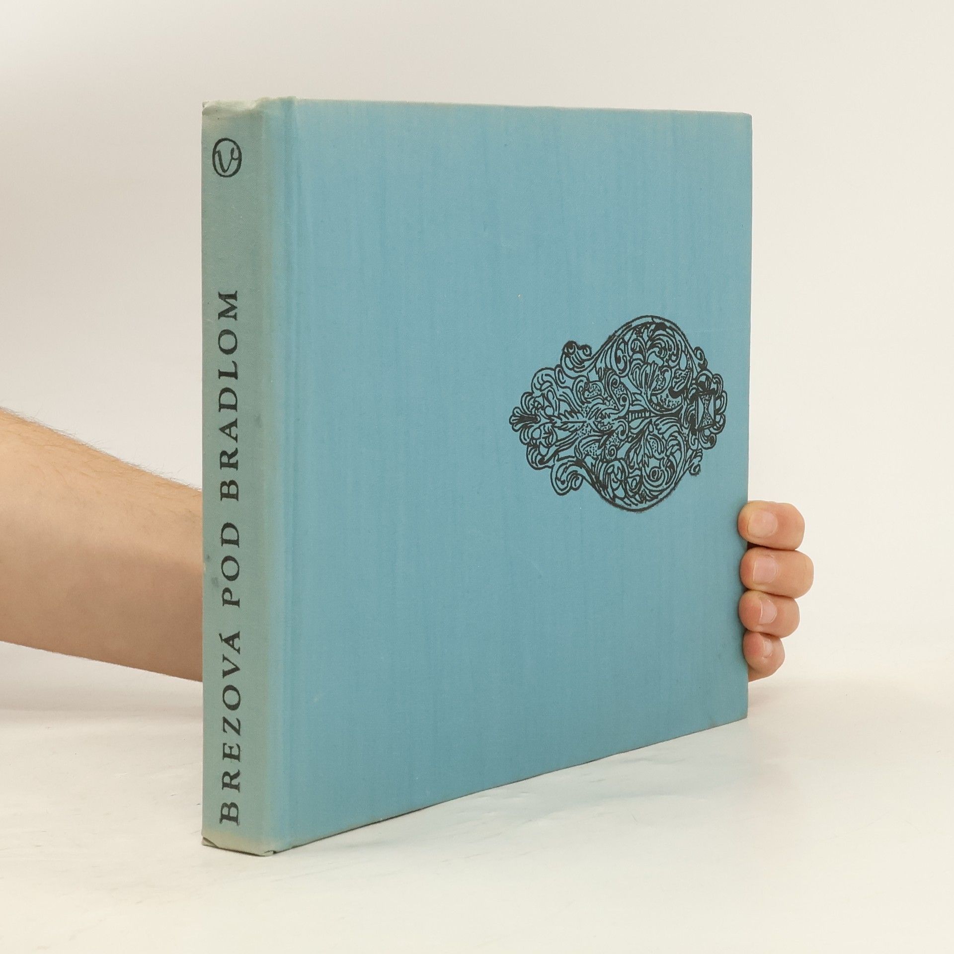 Jan Michálek Brezová pod Bradlom