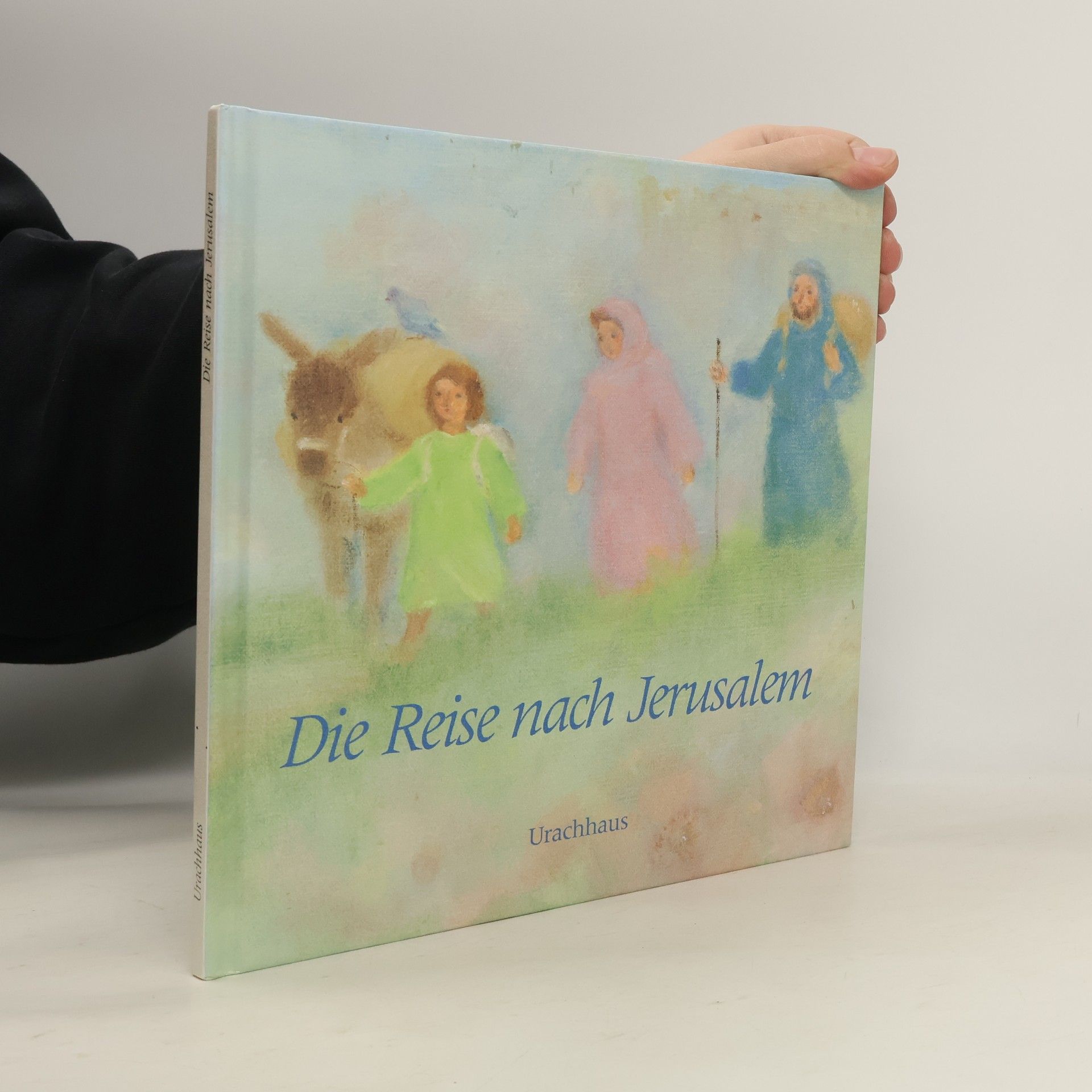 Dorothea Heidenreich Die Reise nach Jerusalem