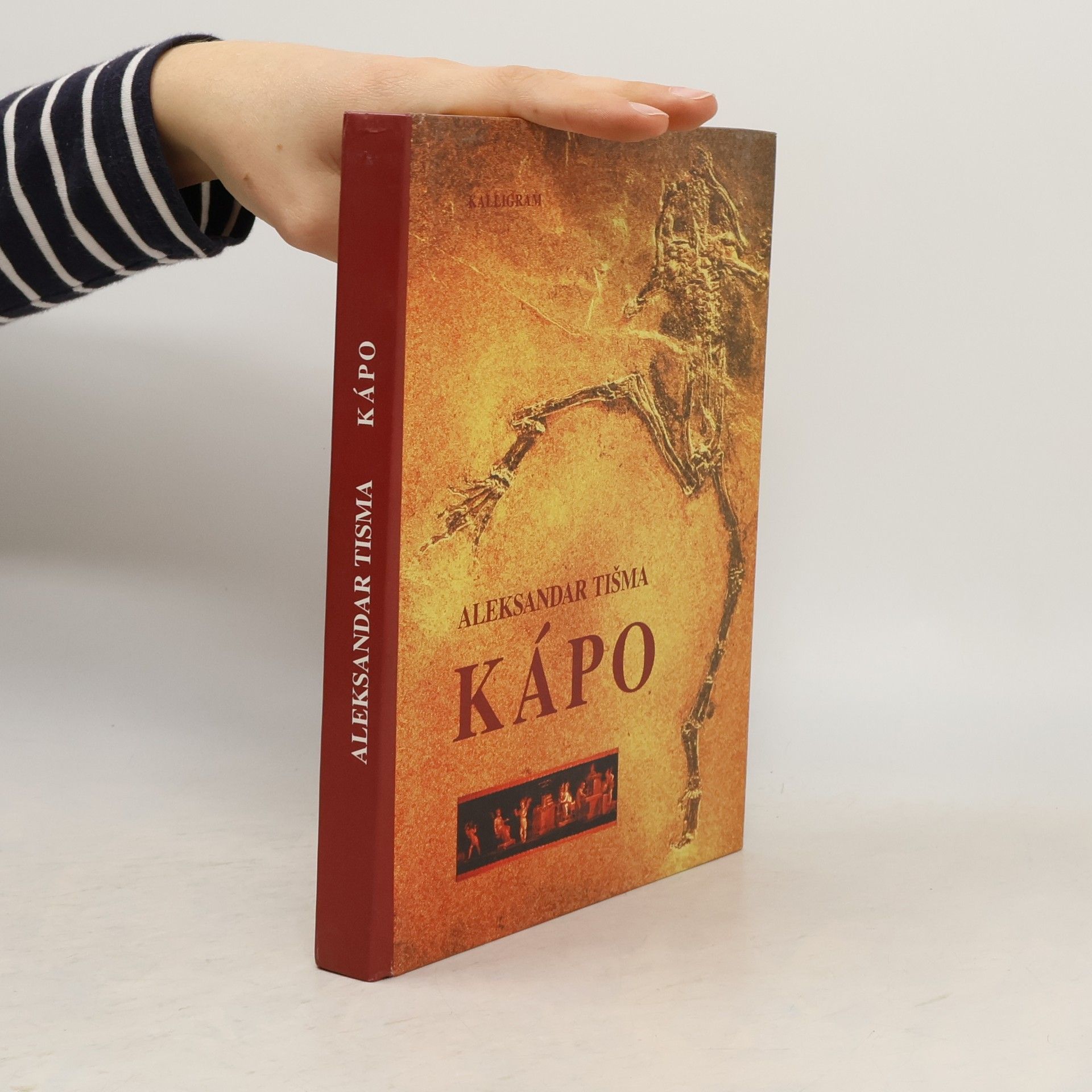 Aleksandar Tišma Kápo