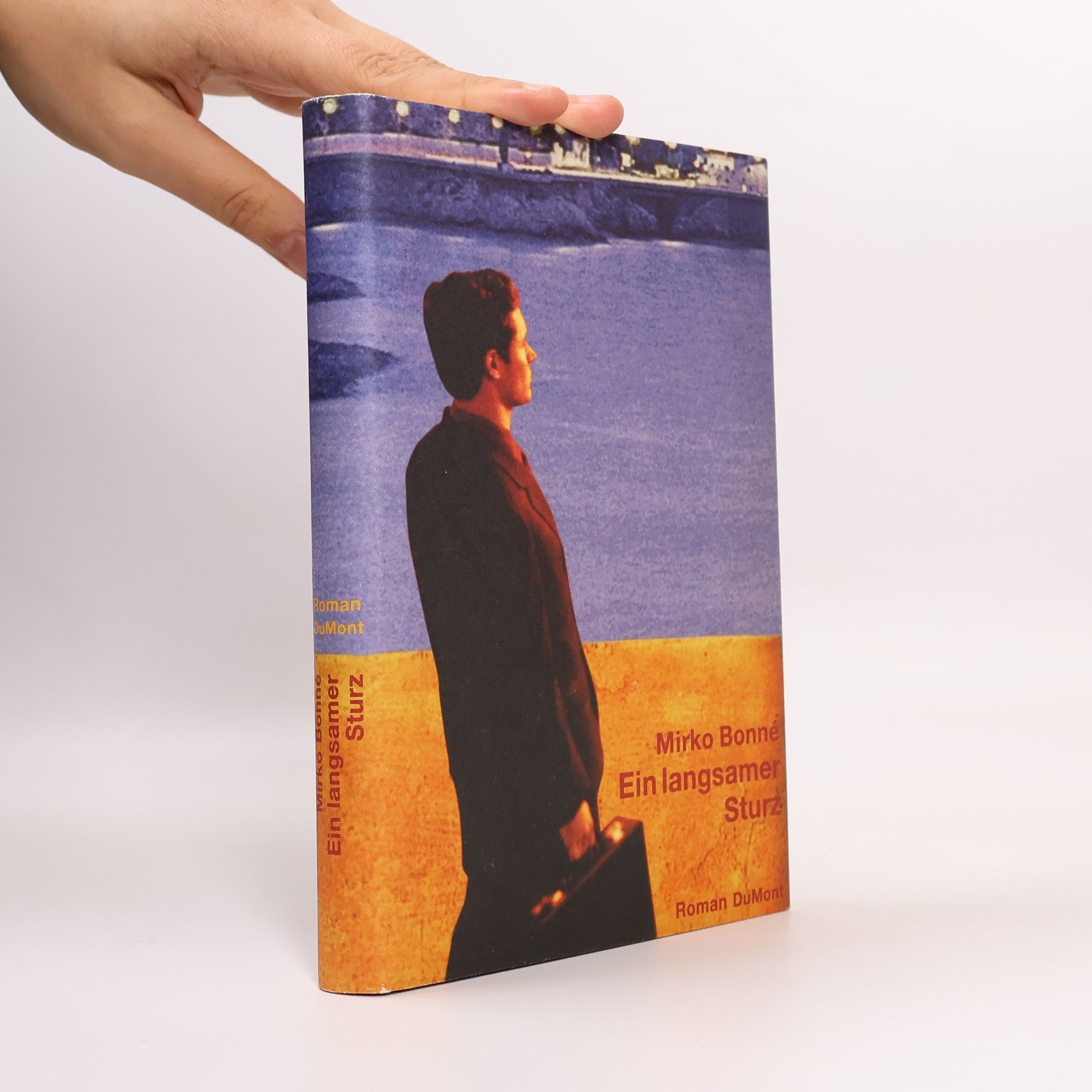 Mirko Bonné Ein langsamer Sturz