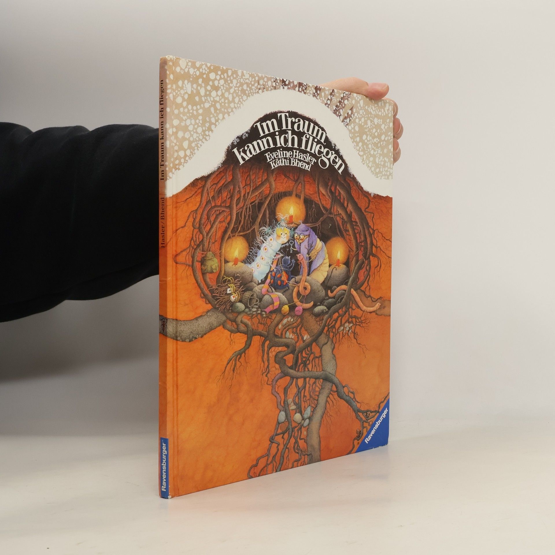 Eveline Hasler Im Traum kann ich fliegen