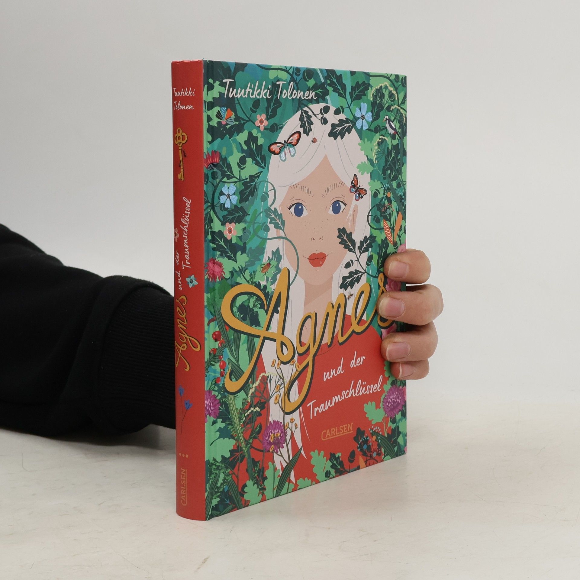Tuutikki Tolonen Agnes und der Traumschlüssel