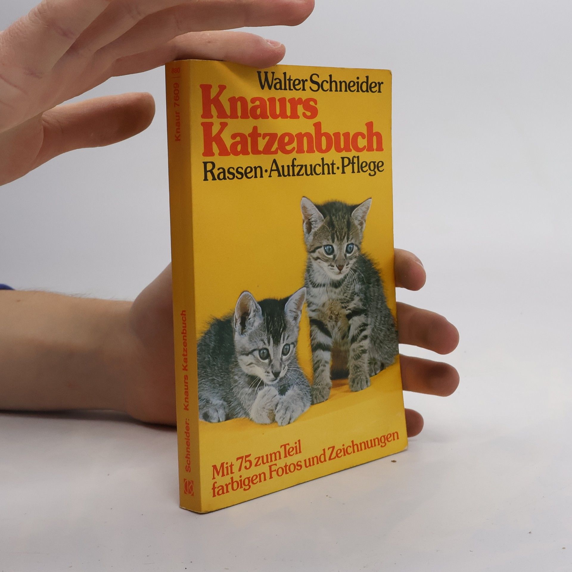 Margret Walter-Schneider Knaurs Katzenbuch
