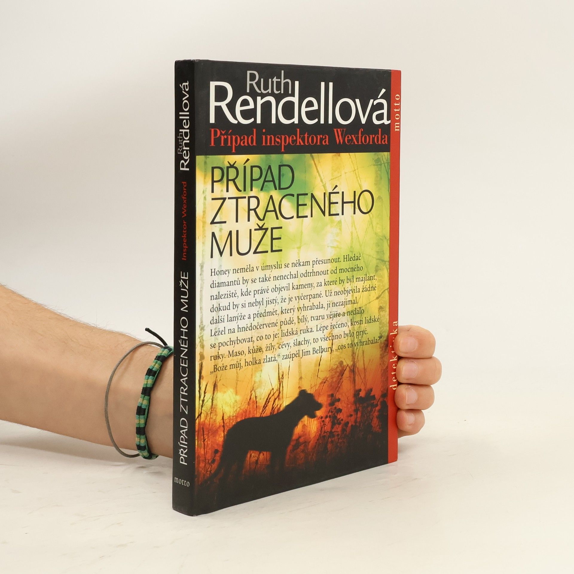 Ruth Rendell Případ ztraceného muže