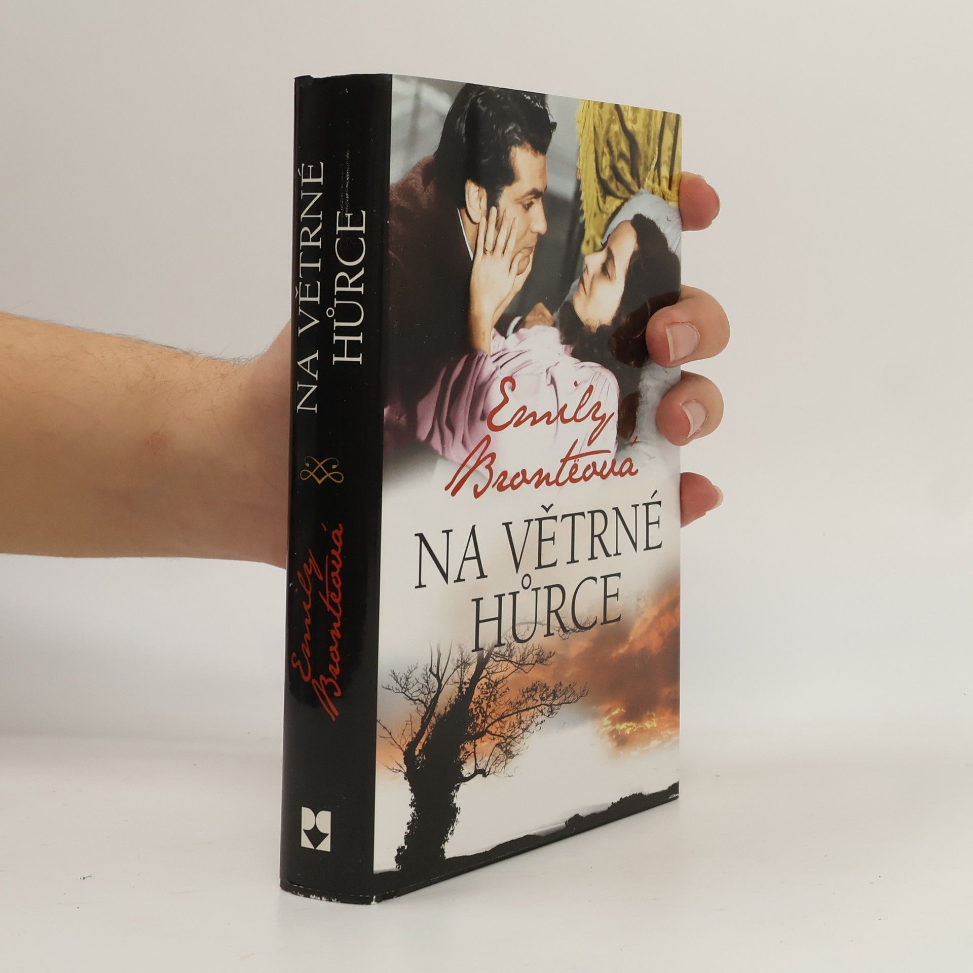 Emily Brontë Na Větrné hůrce