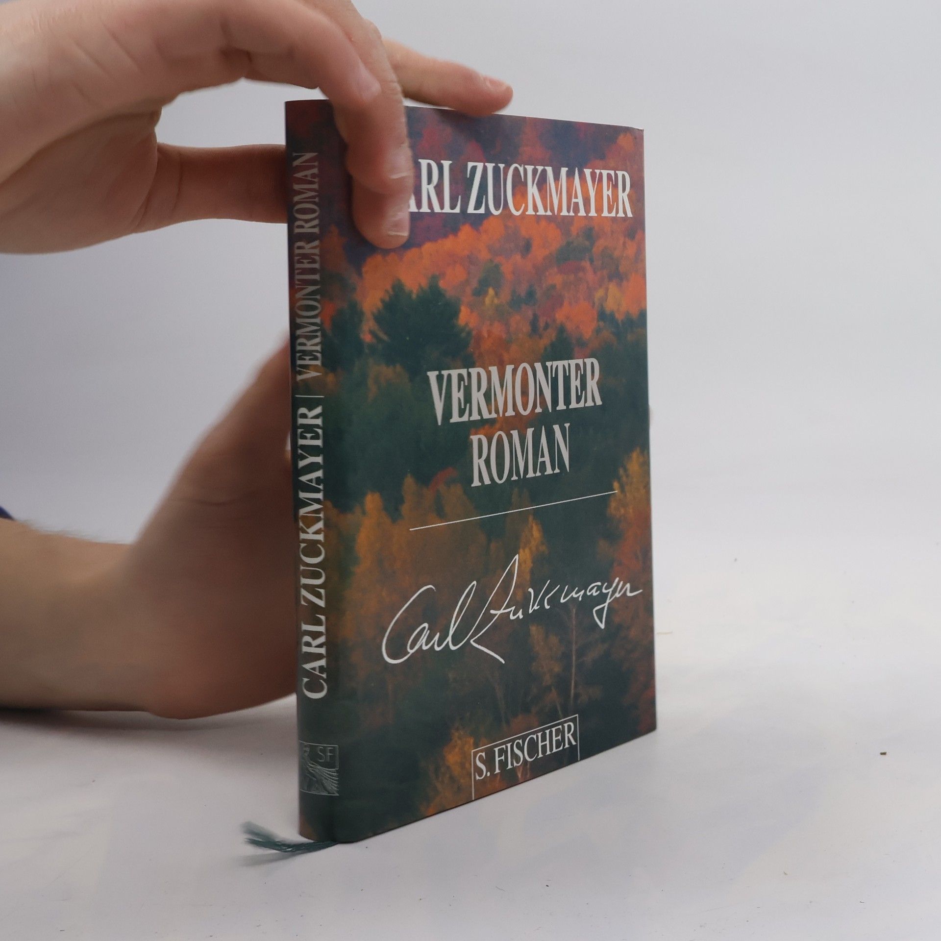 Carl Zuckmayer Vermonter Roman