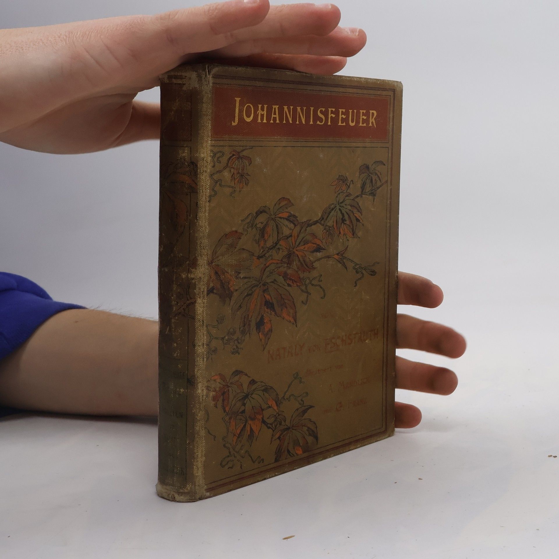 Nataly von Eschstruth Johannisfeuer