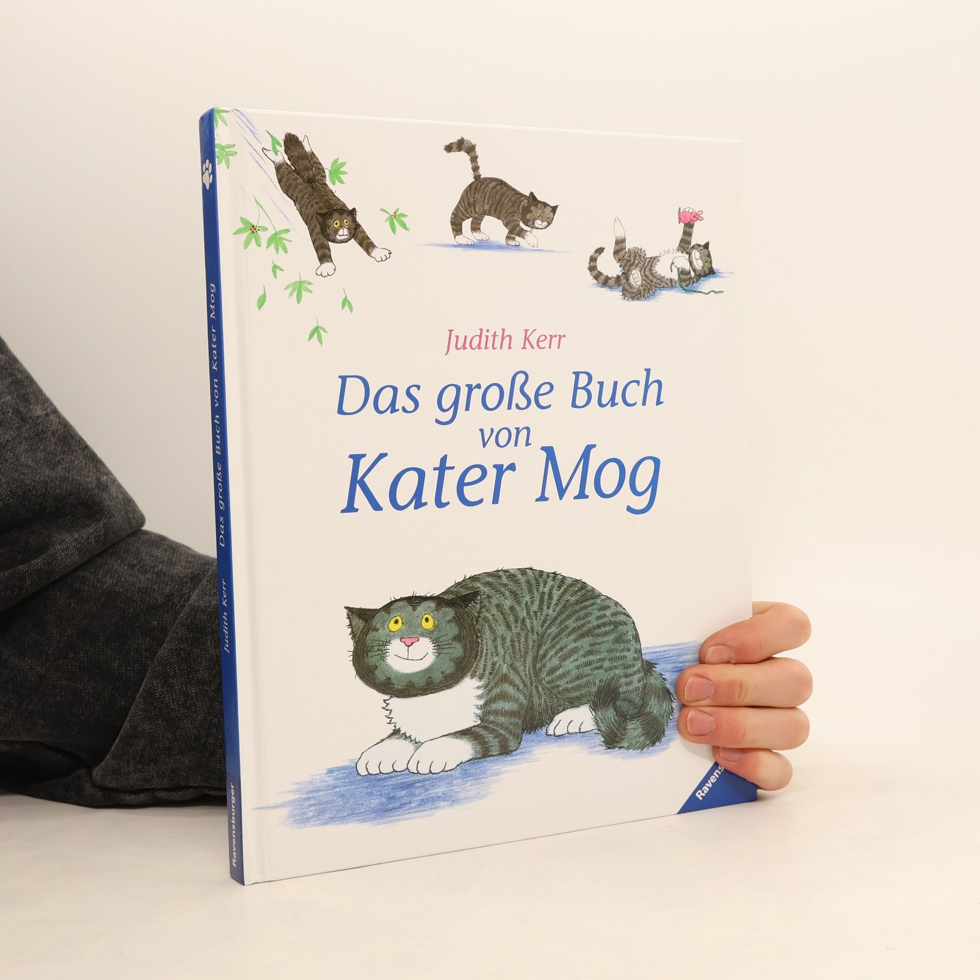 Judith Kerr Das große Buch von Kater Mog