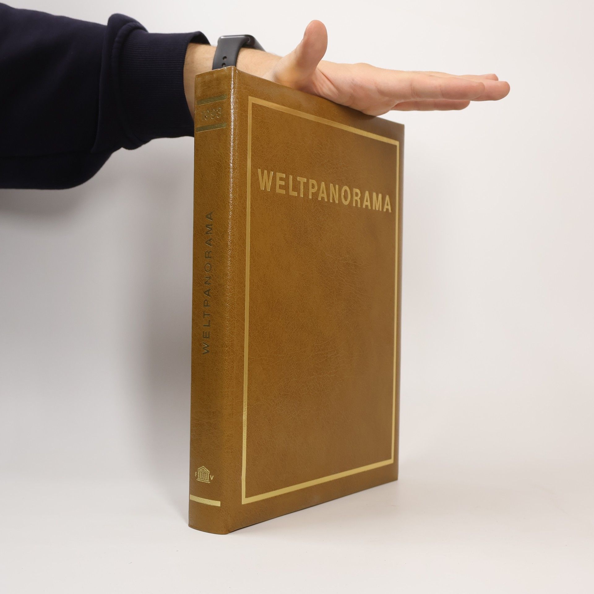 Autorenkollektiv Weltpanorama 1993 - Eine Chronik des Zeitgeschehens