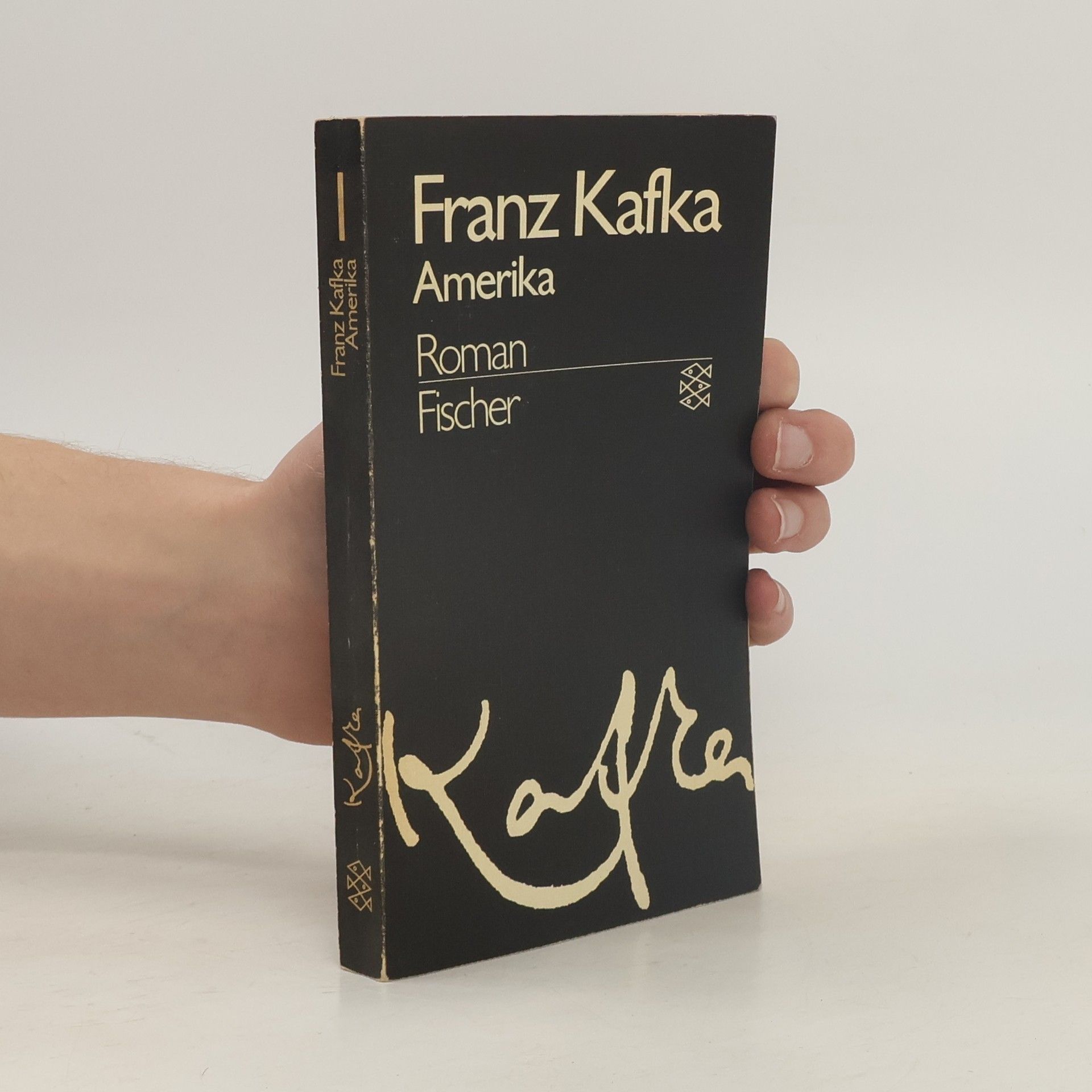 Franz Kafka Gesammelte Werke 1. Amerika