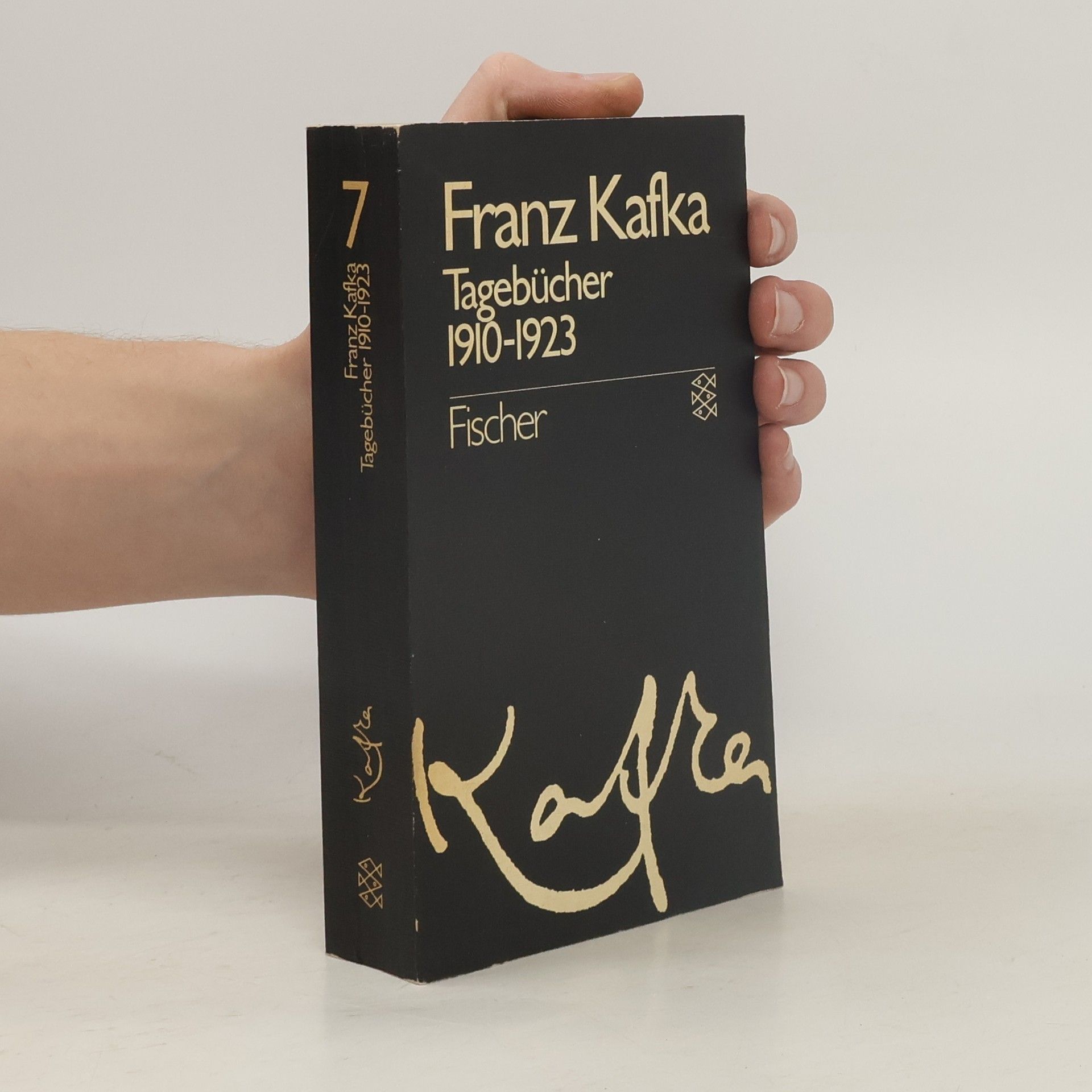 Franz Kafka Gesammelte Werke 1. Amerika