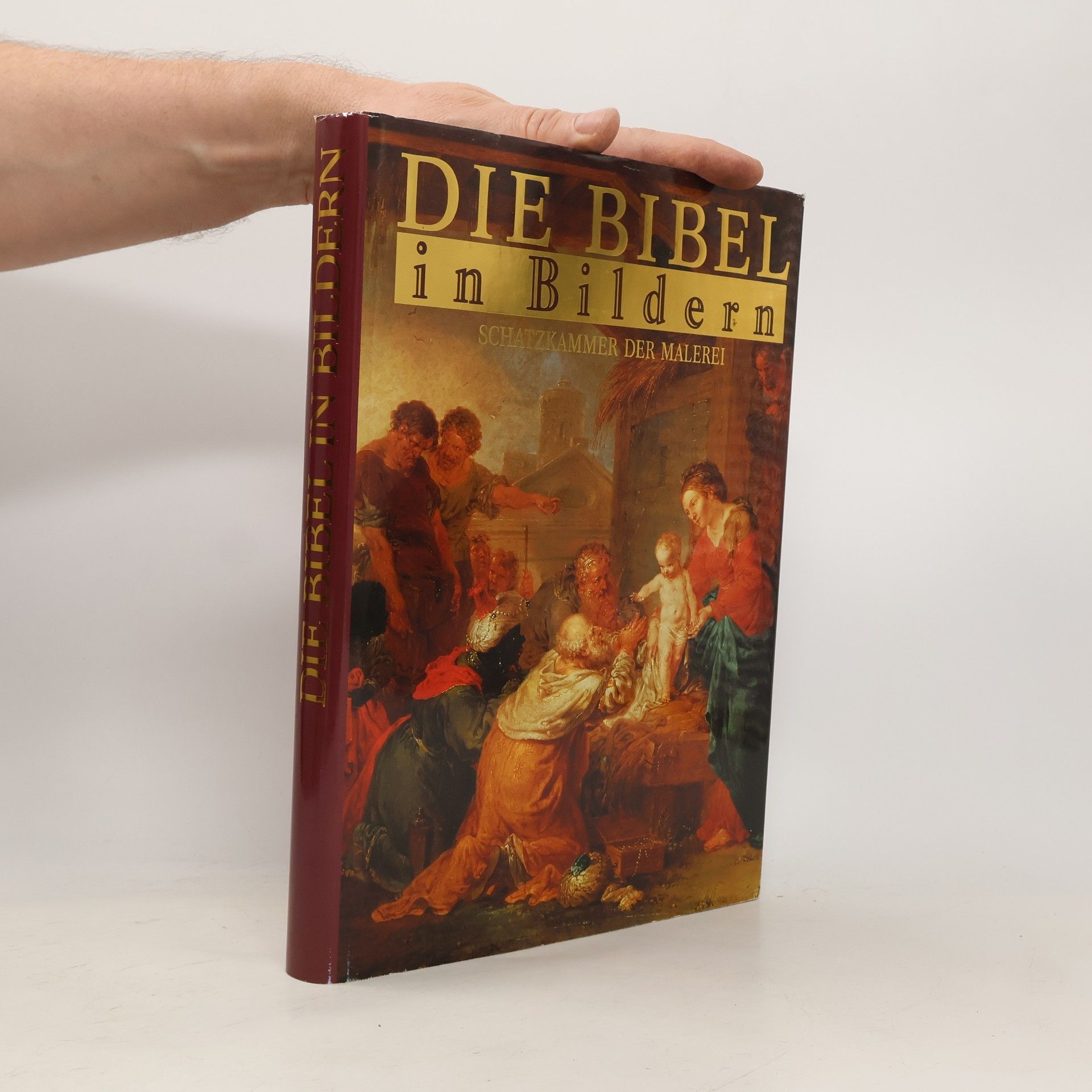 AA.VV. Die Bibel in Bildern. Schatzkammer der Malerei