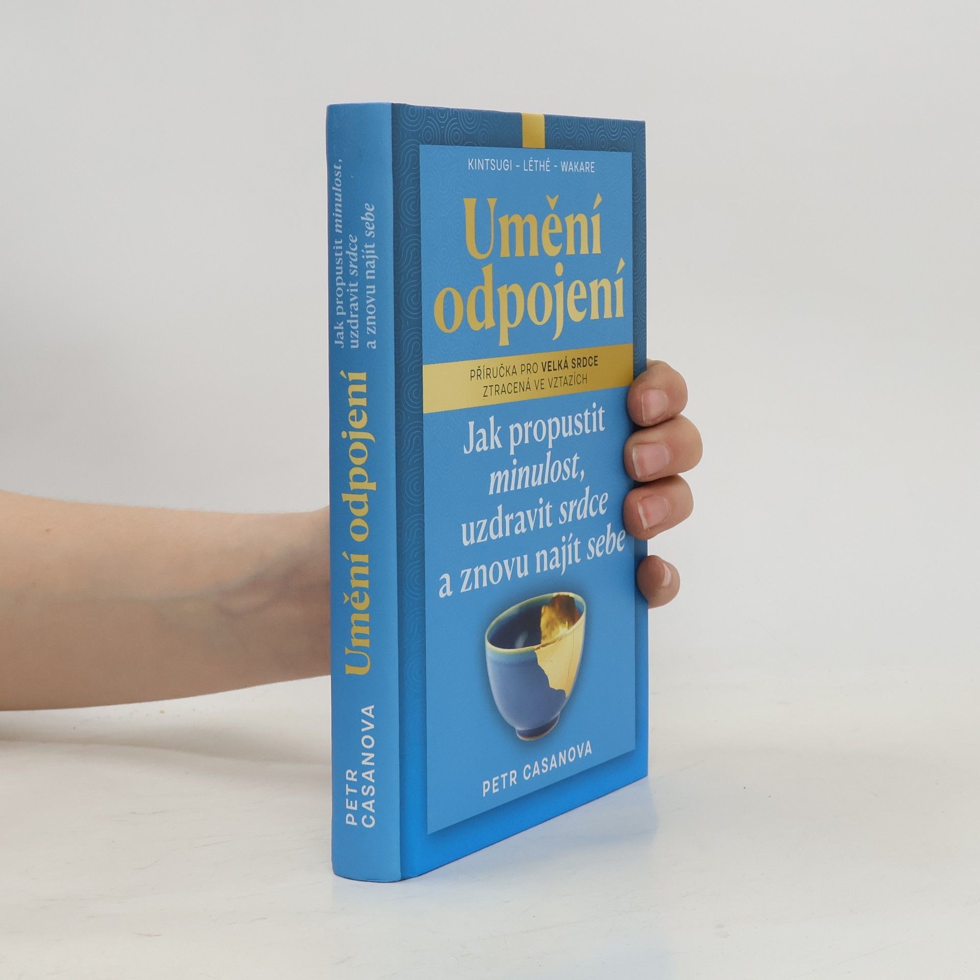 Petr Casanova Umění odpojení