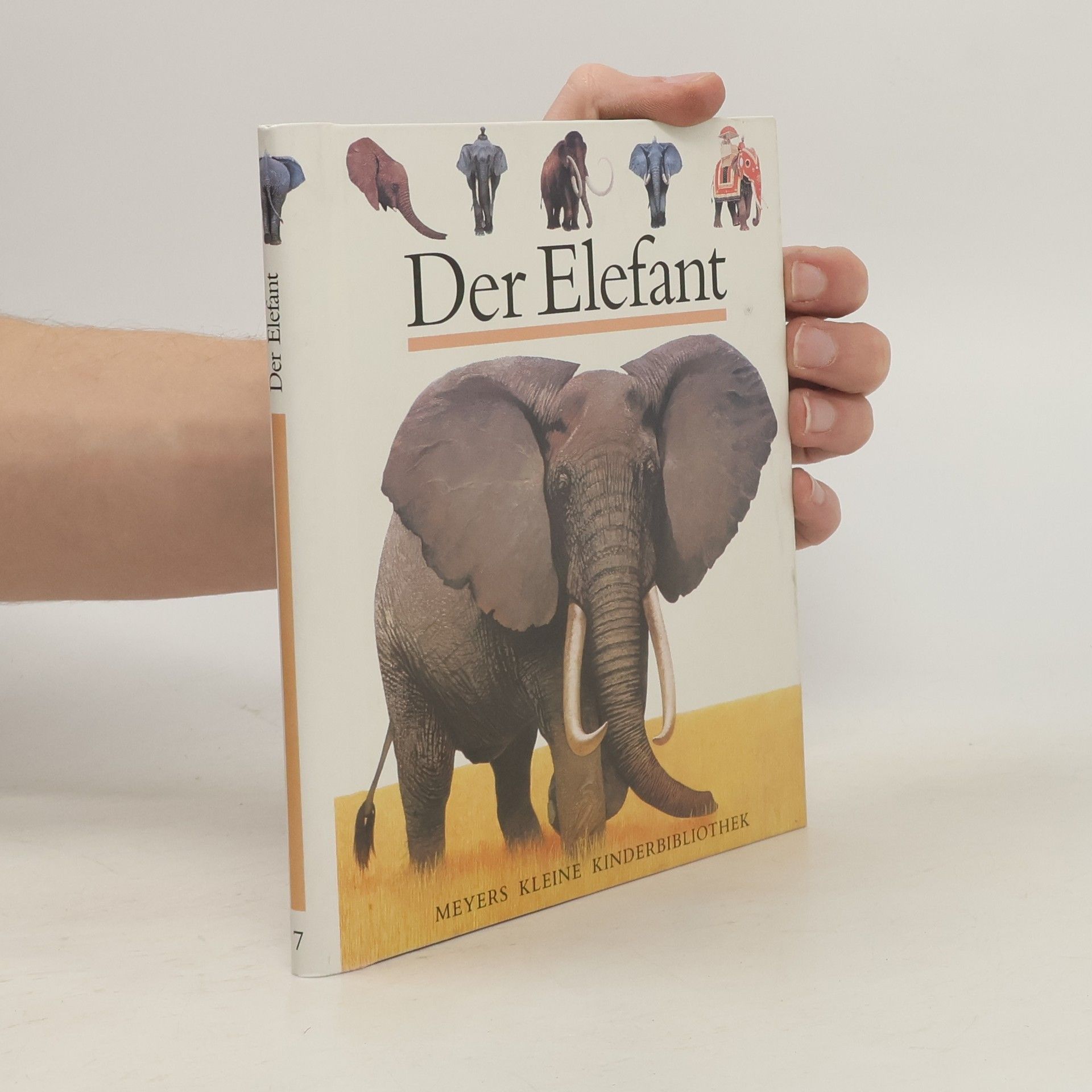 Jame Prunier Der Elefant