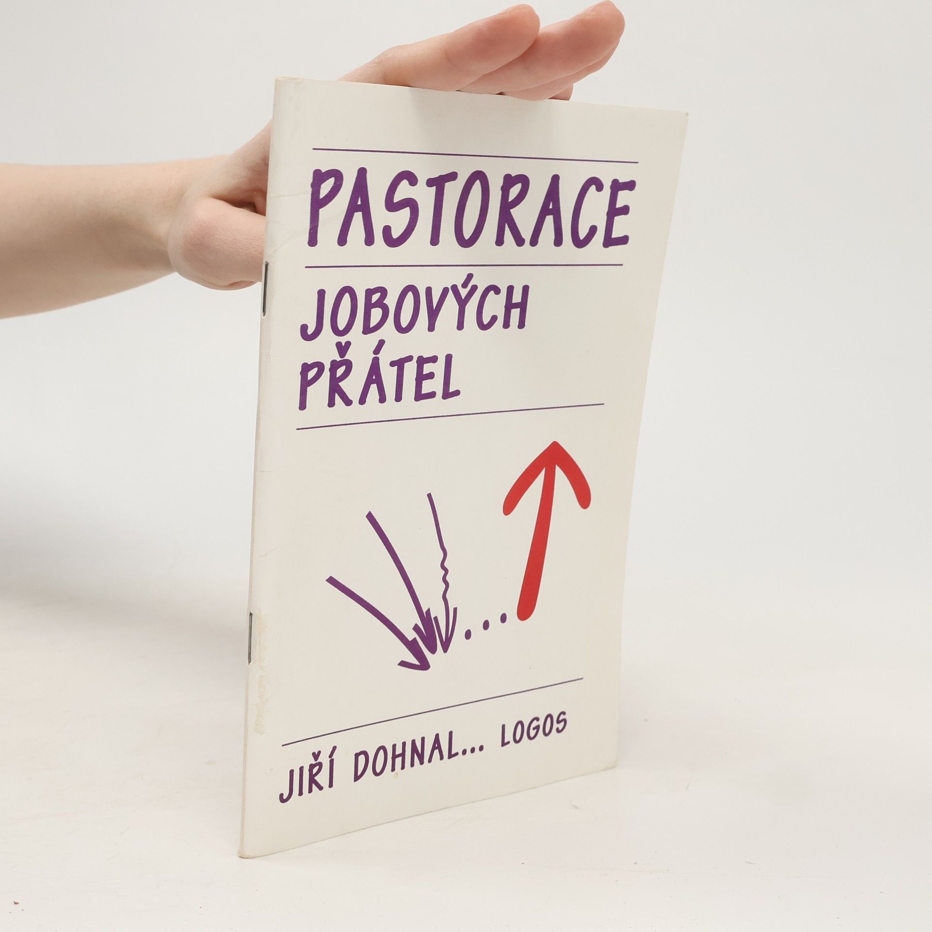 Pastorace Jobových přátel