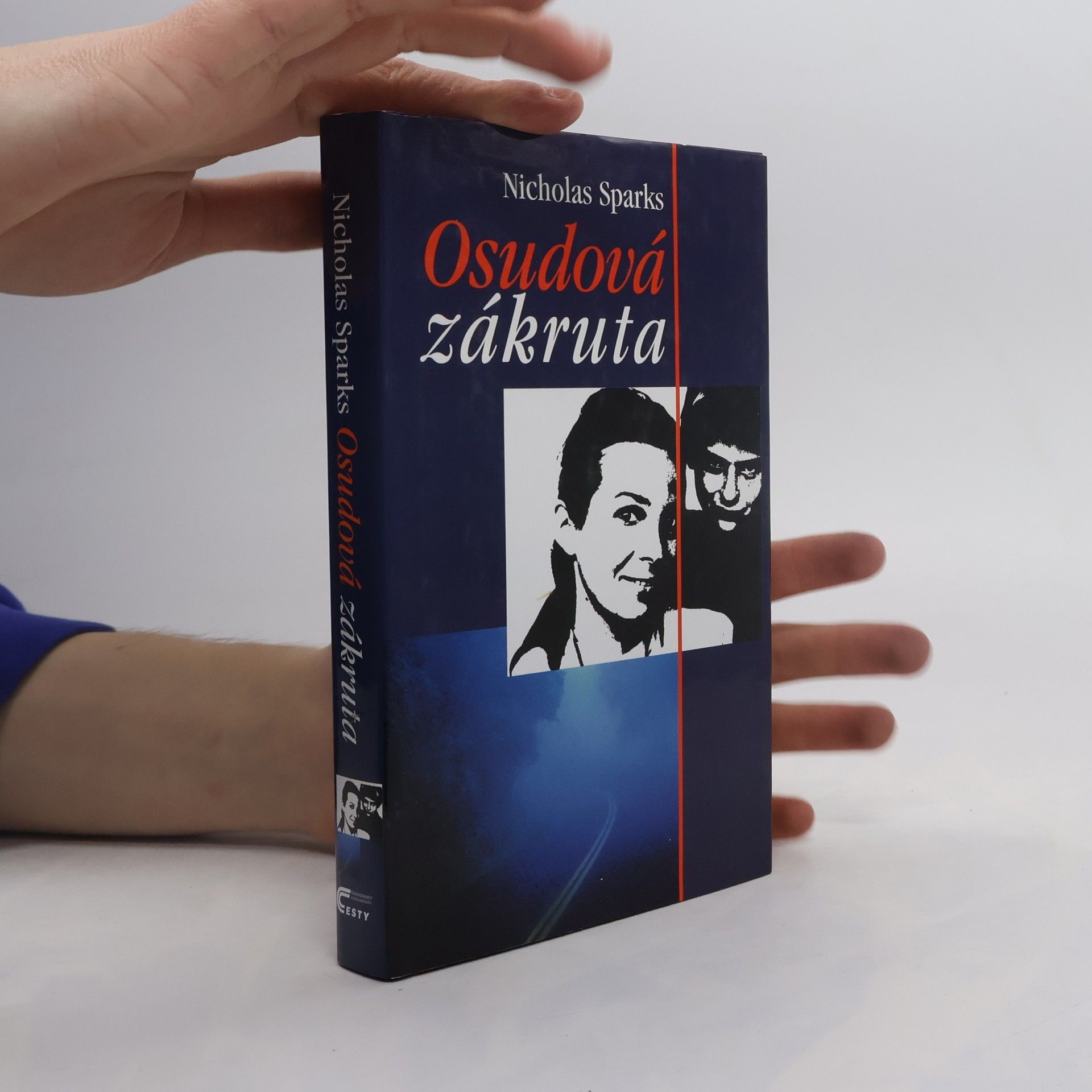 Nicholas Sparks Osudová zákruta