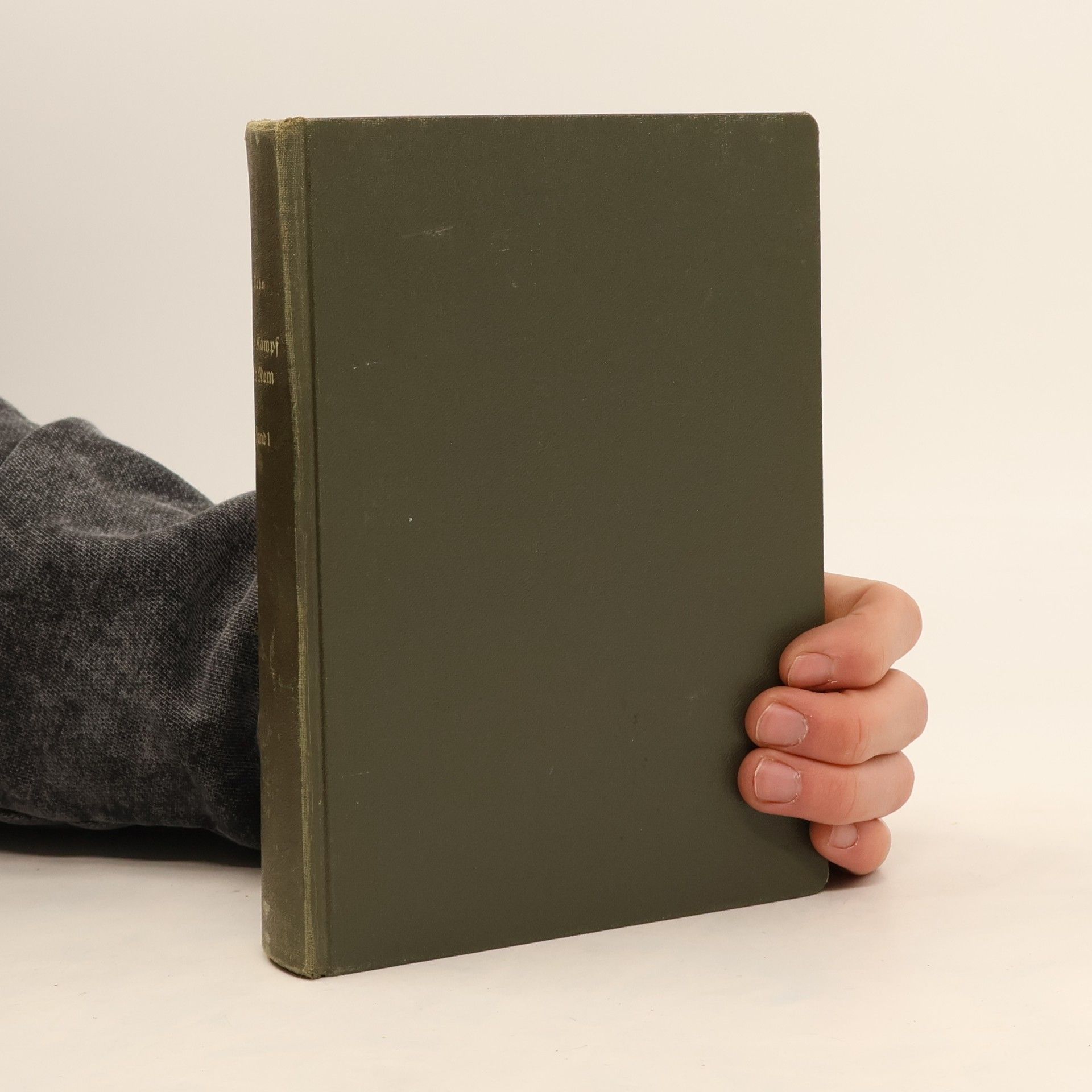 Felix Dahn Kampf um Rom I. Theoderich