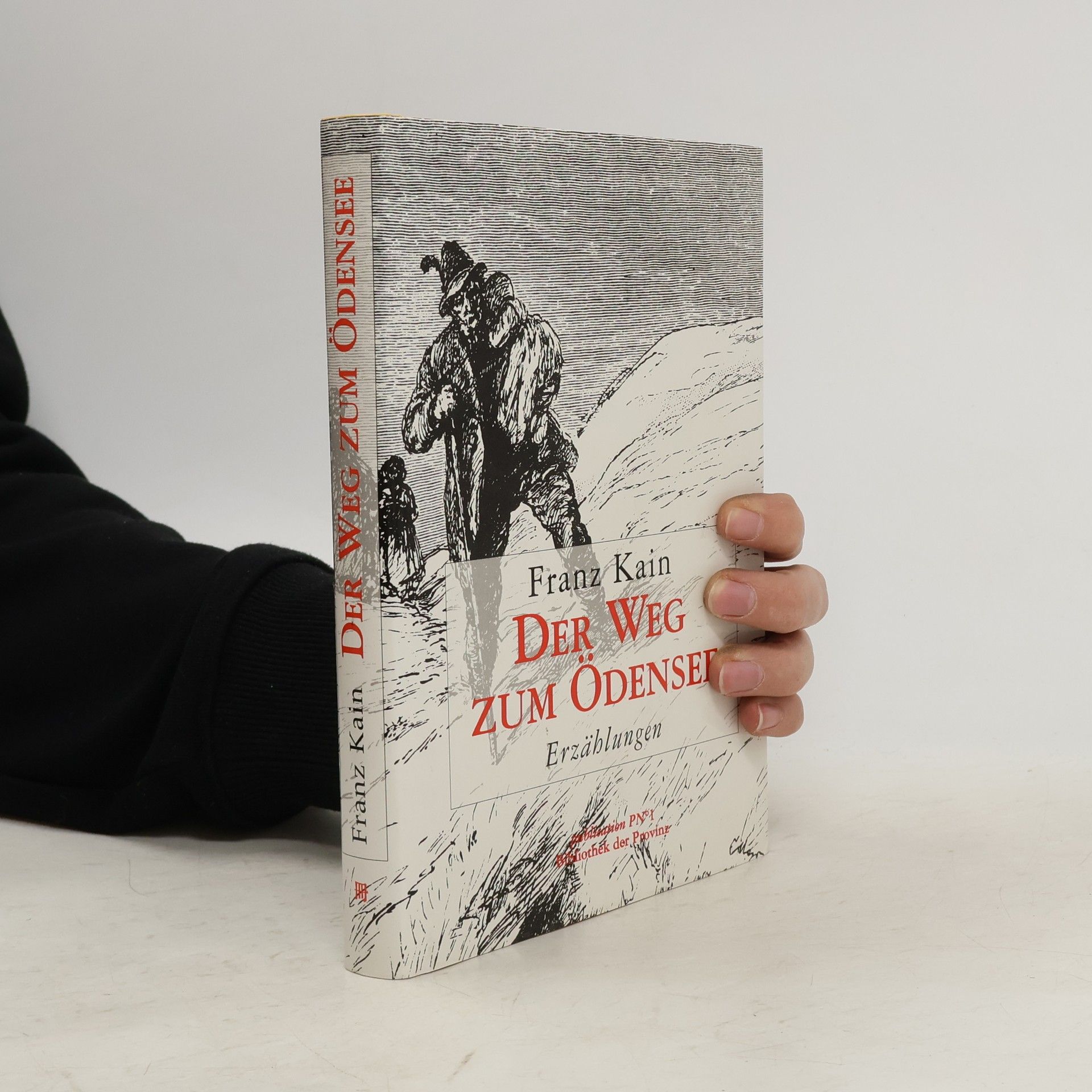 Franz Kainer Der Weg zum Ödensee. Erzählungen