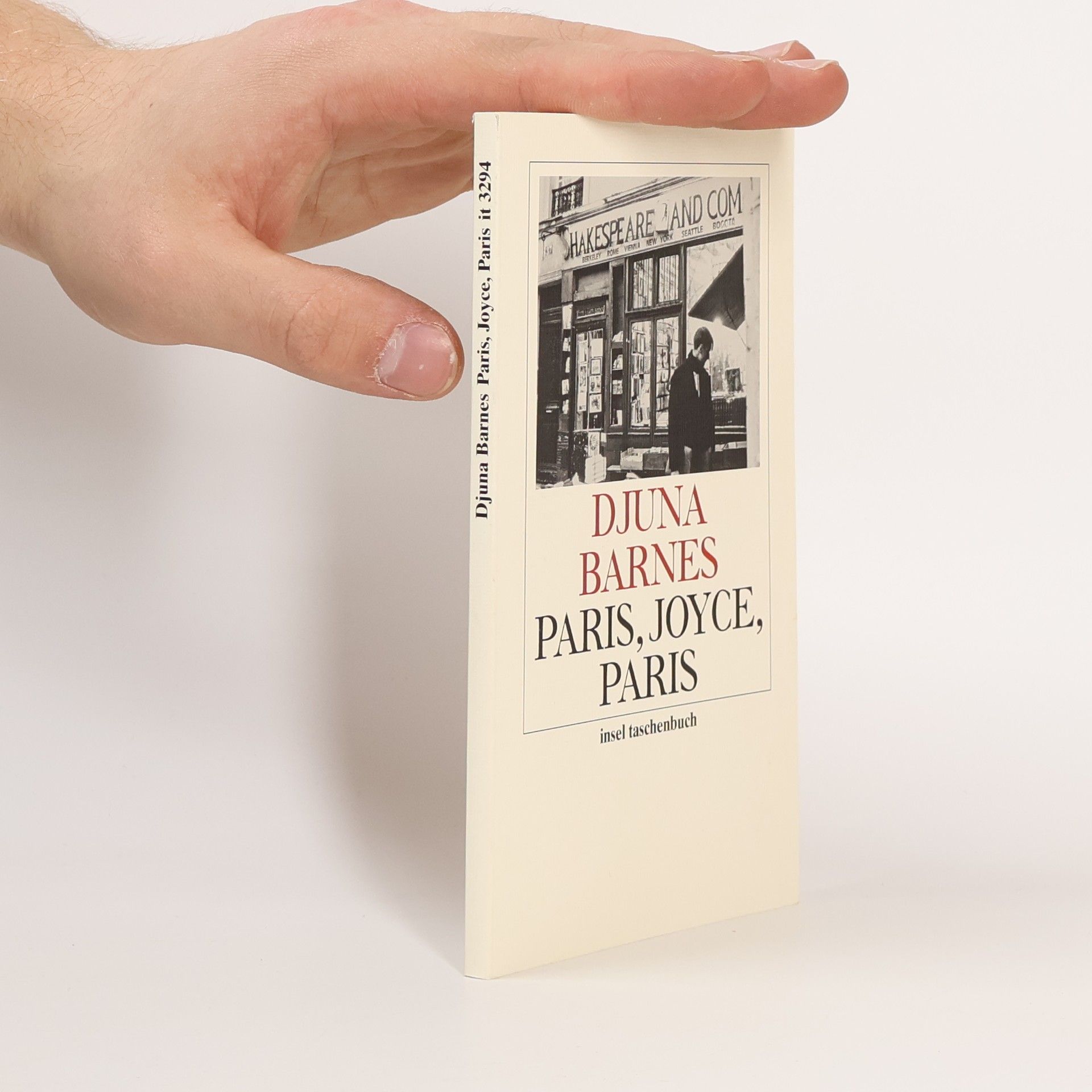 Djuna Barnes Paris, Joyce, Paris