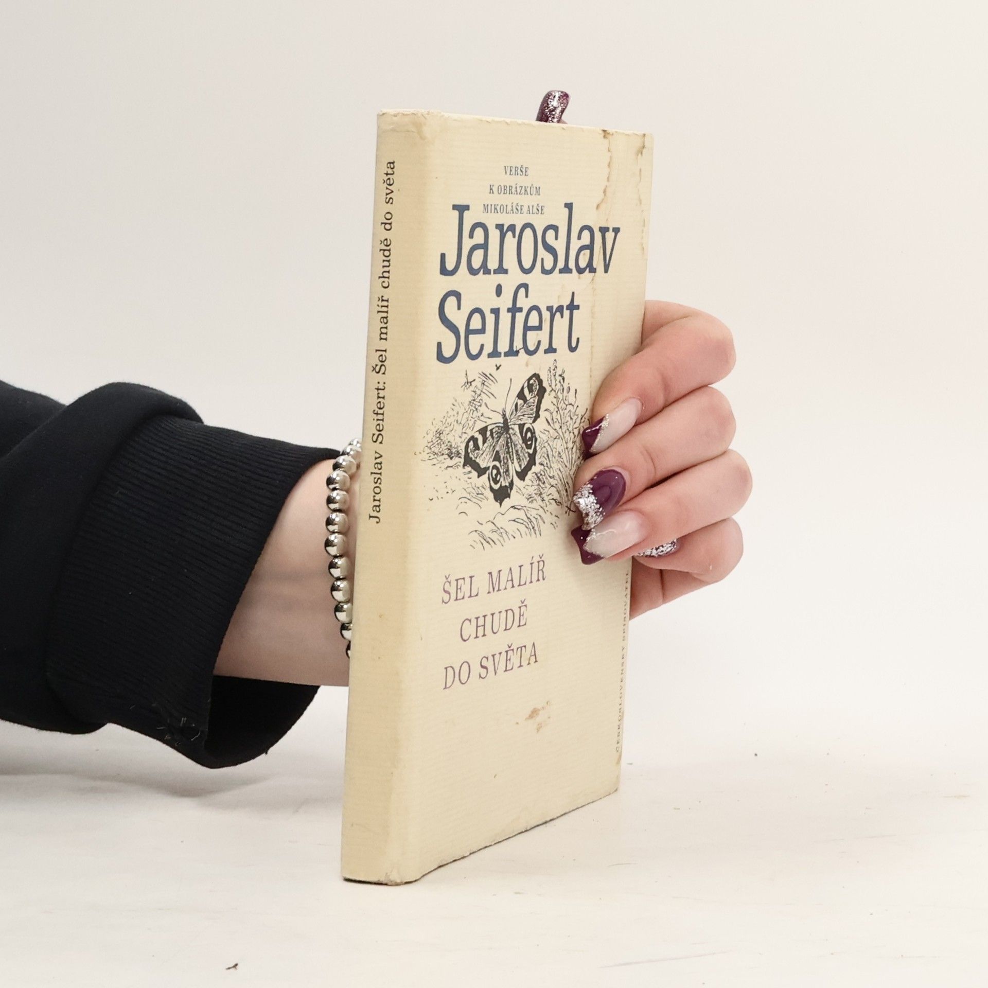 Mikoláš Aleš Šel malíř chudě do světa