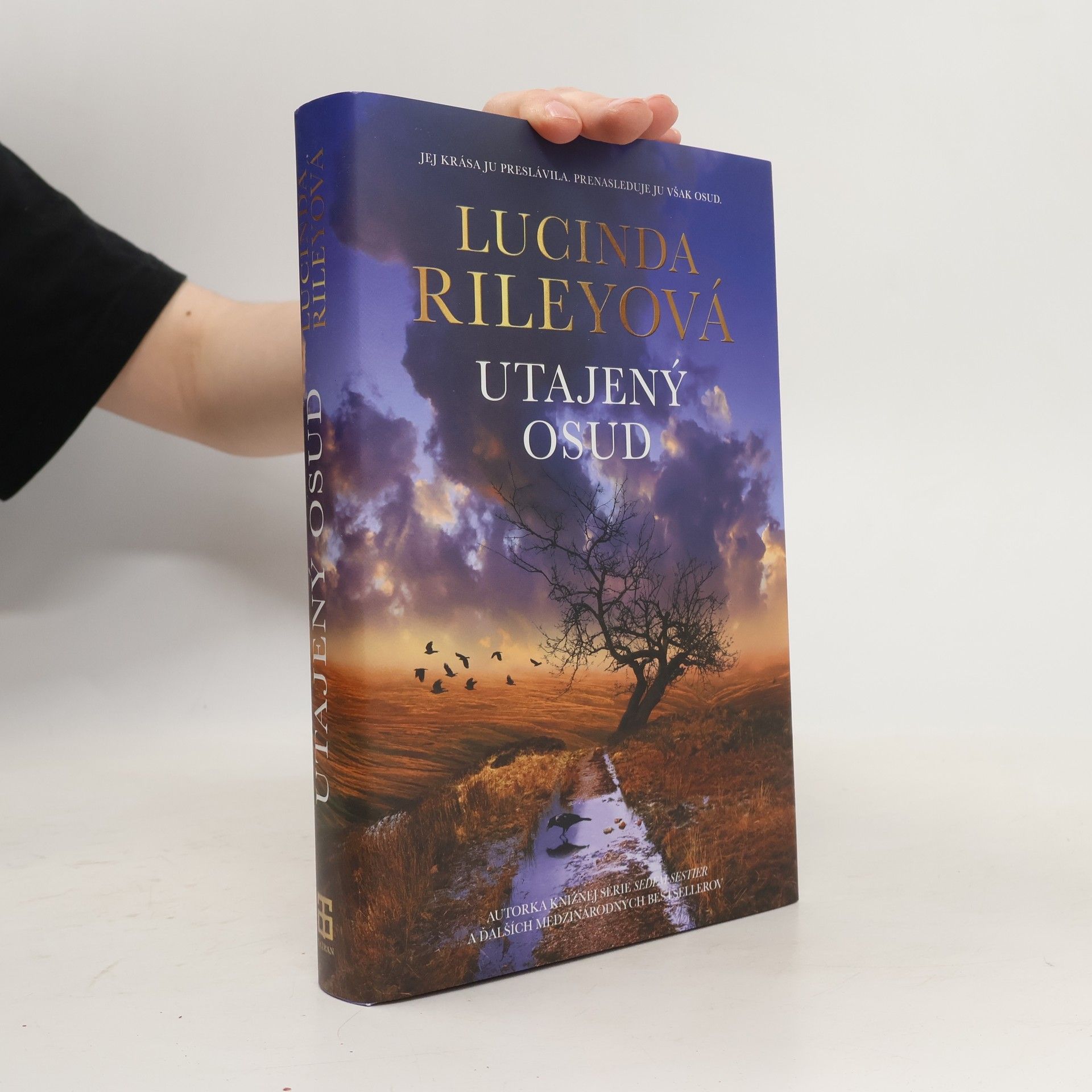 Lucinda Riley Utajený osud