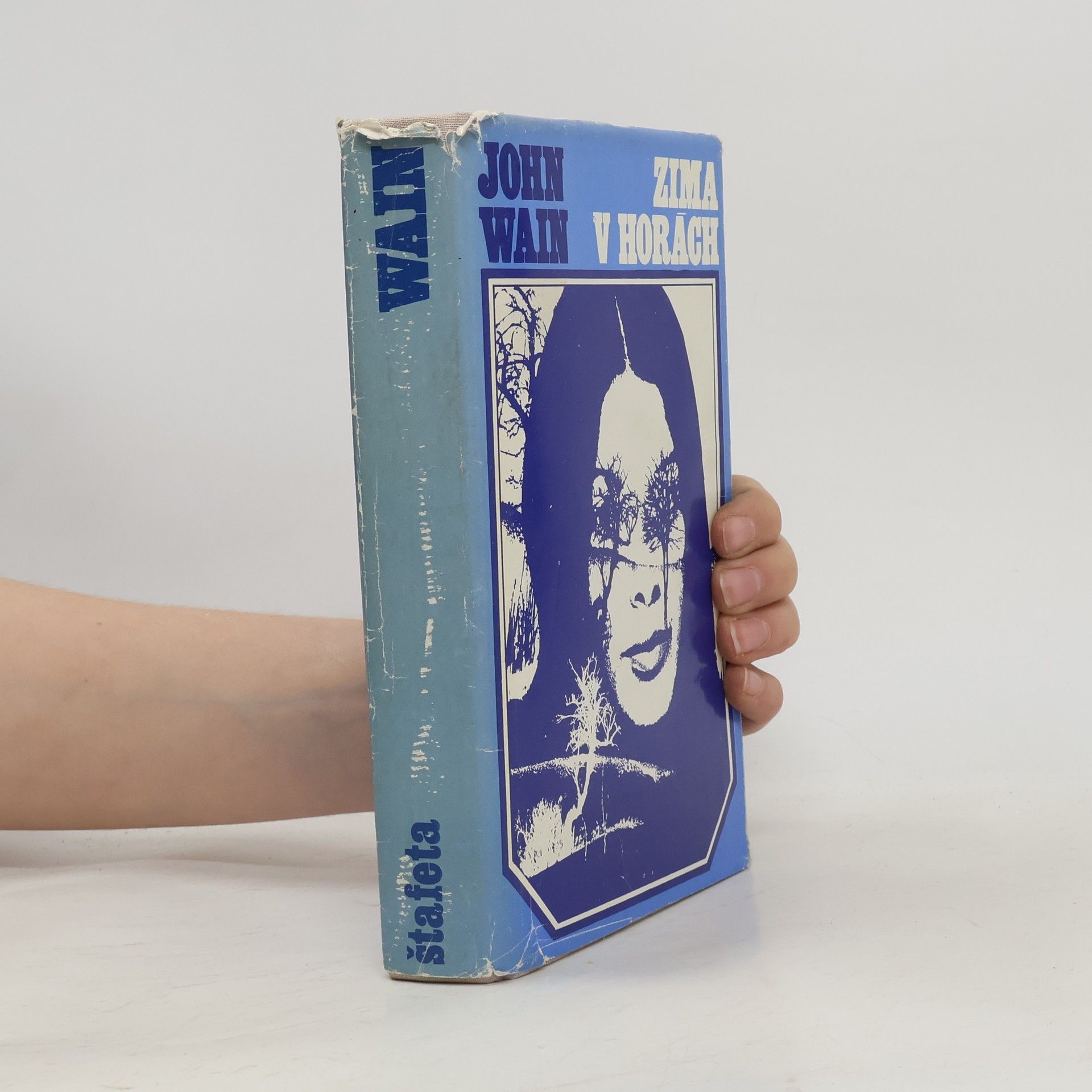 John Wain Zima v horách
